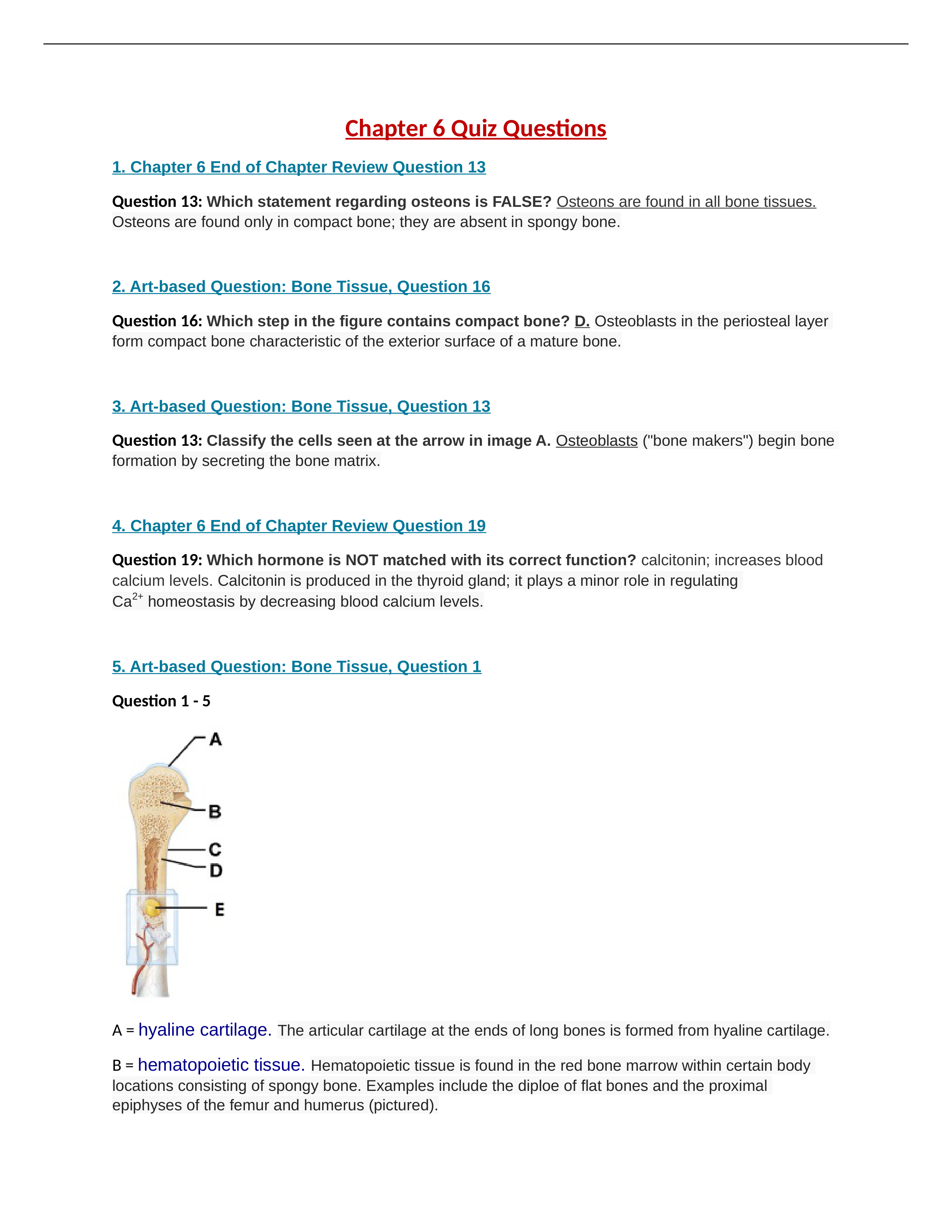 Chapter 6 Quiz Questions.docx_dnrynxbjjm4_page1