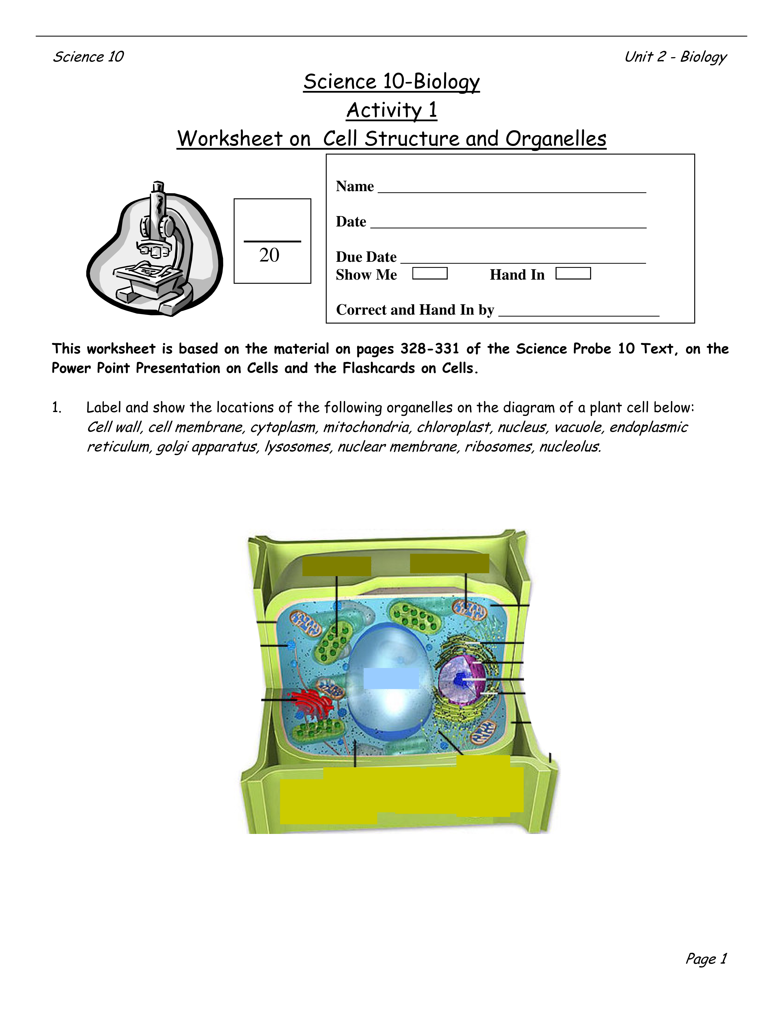 Cell Structure Organelles_dnwk41dcbwr_page1