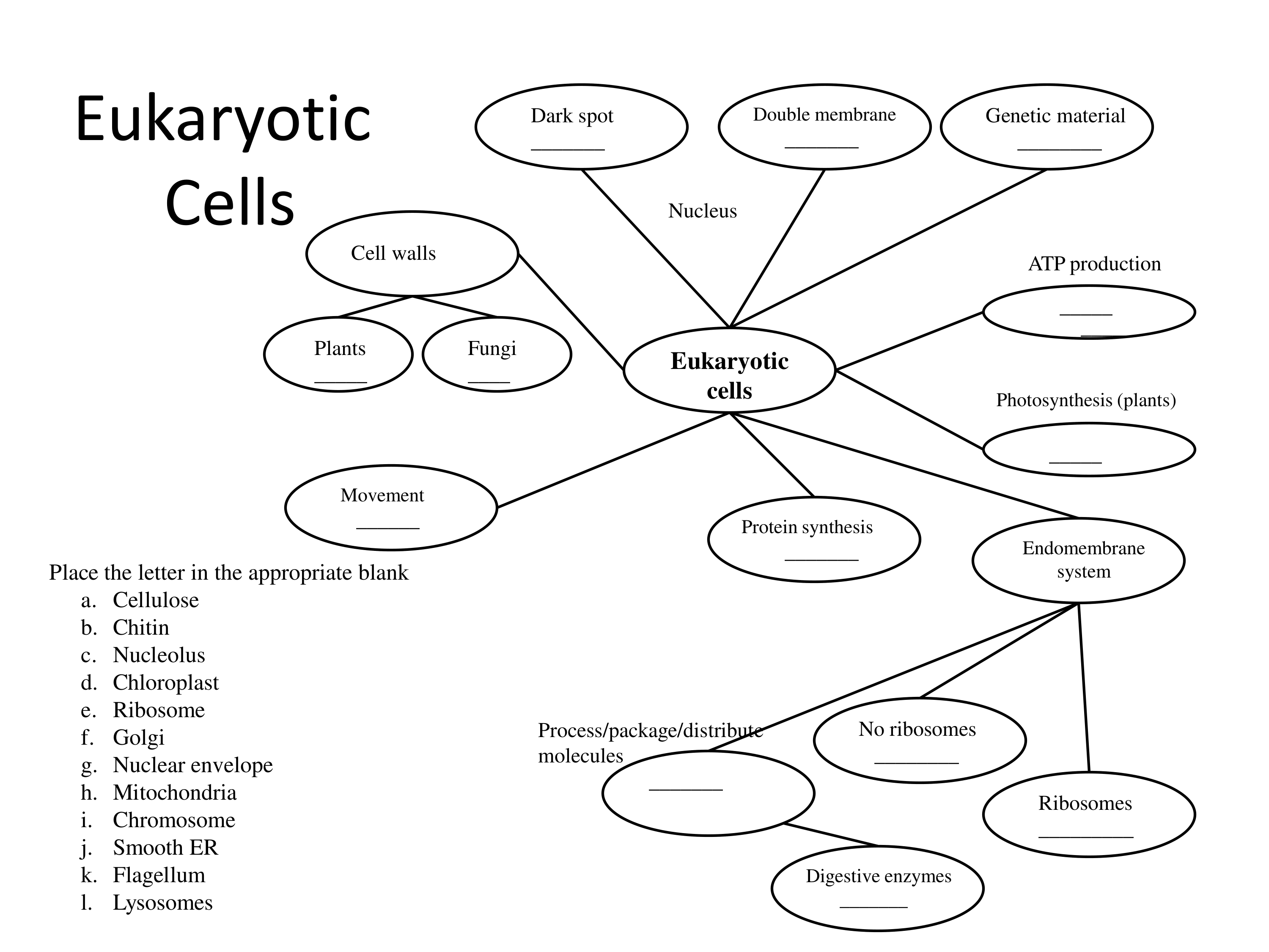 concept map 2_dnx4jjoqb6r_page1