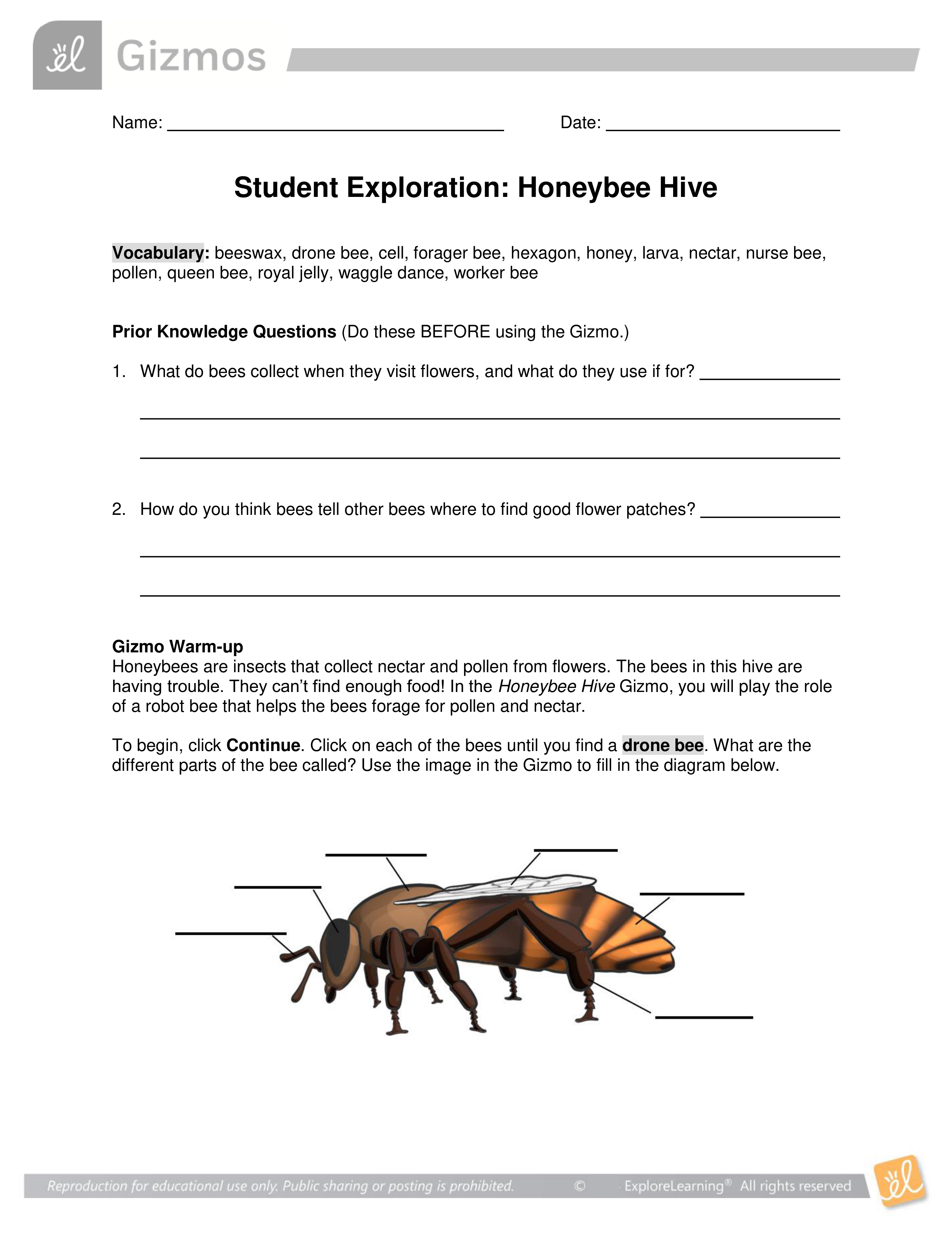 Nonhomework 4.pdf_dnxvnhxr73f_page1