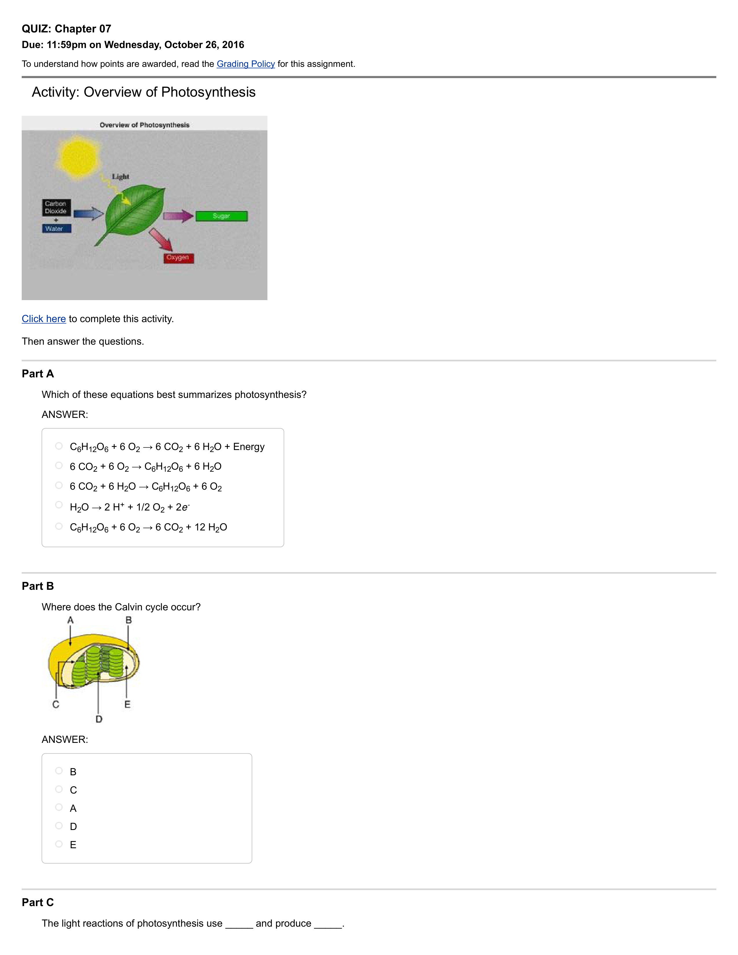 QUIZ_ Chapter 07_dnzq92adpkb_page1