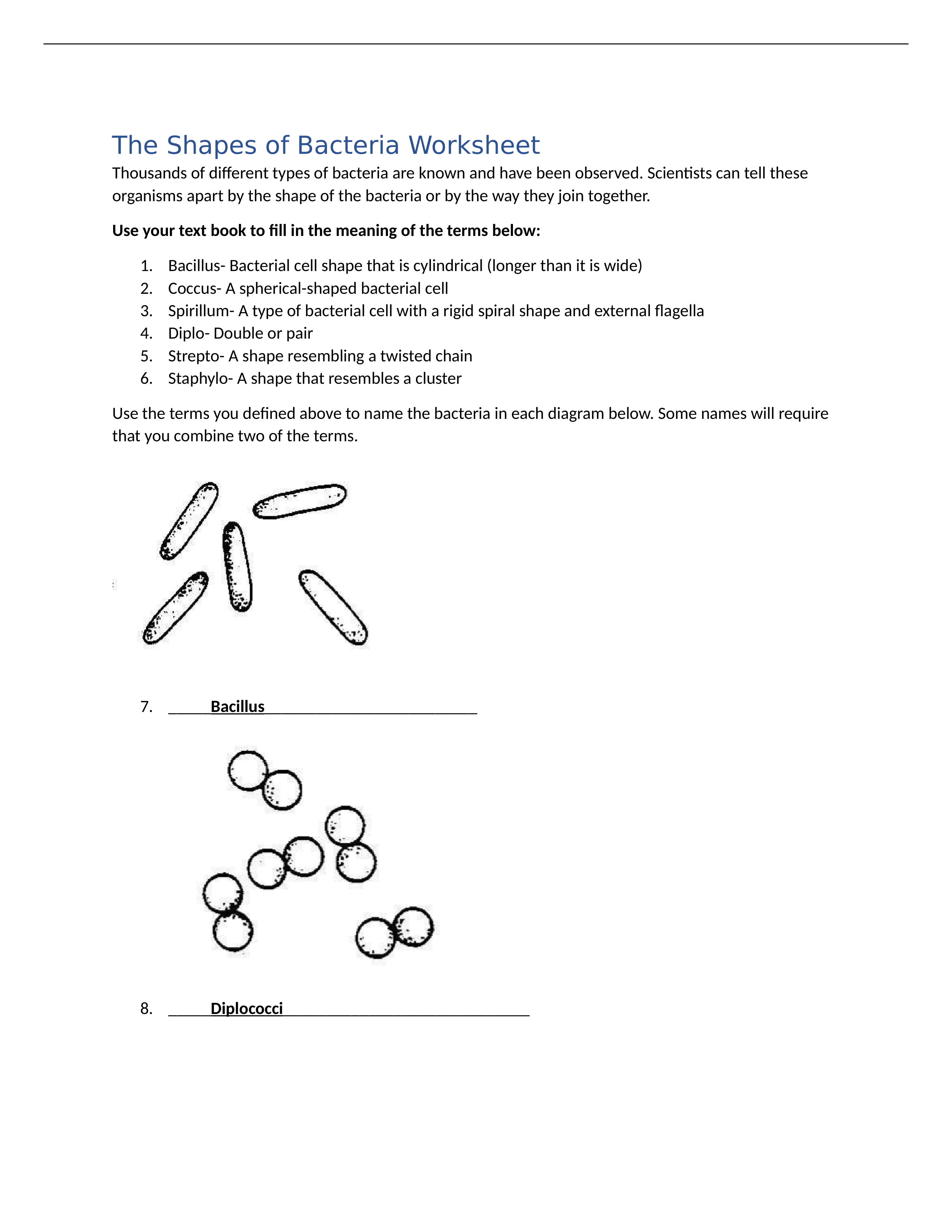 Shapes of Bacteria Worksheet.docx_do77cv8mmv4_page1