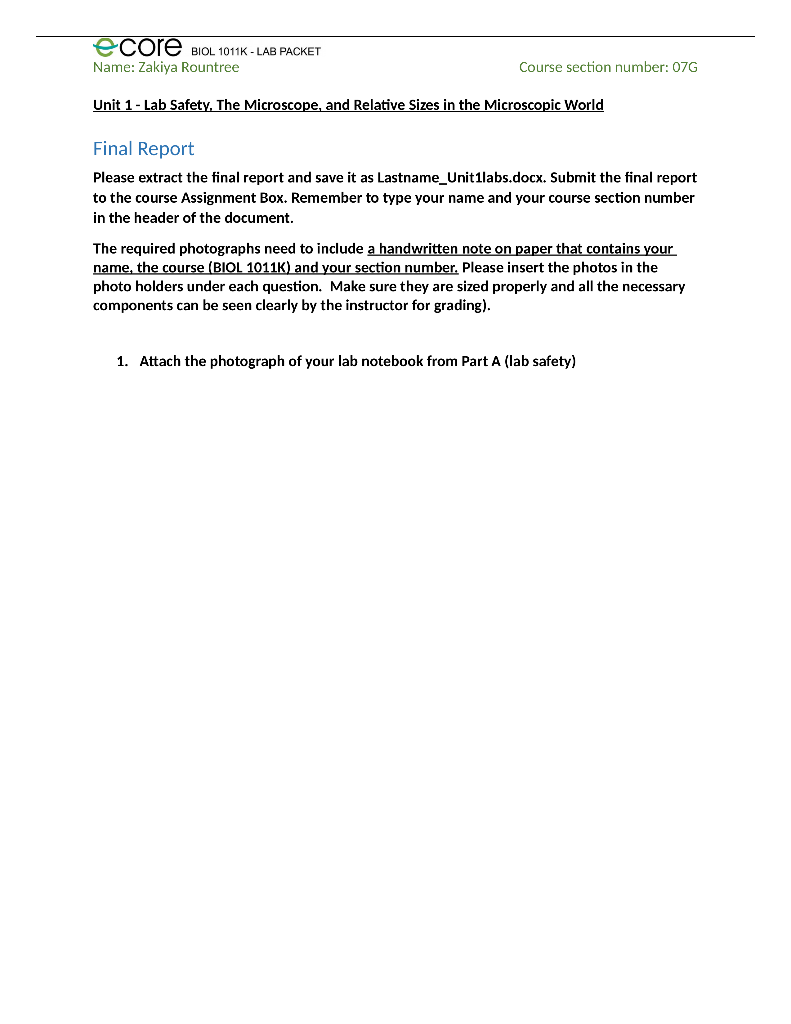 Rountree_Unit1_FinalReport.docx_dobtsbnjsqq_page1