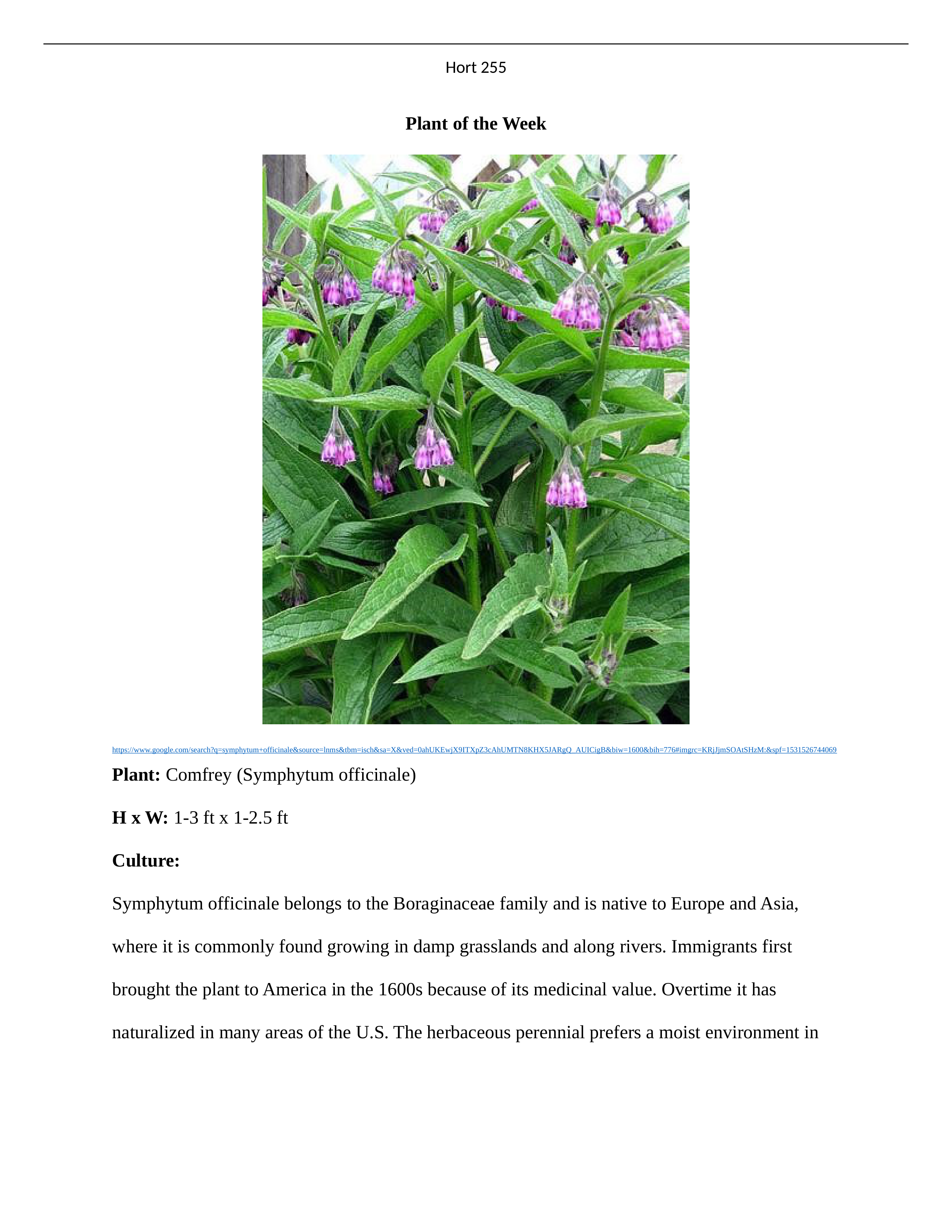 Plant of the Week #3.docx_donorzp1stw_page1