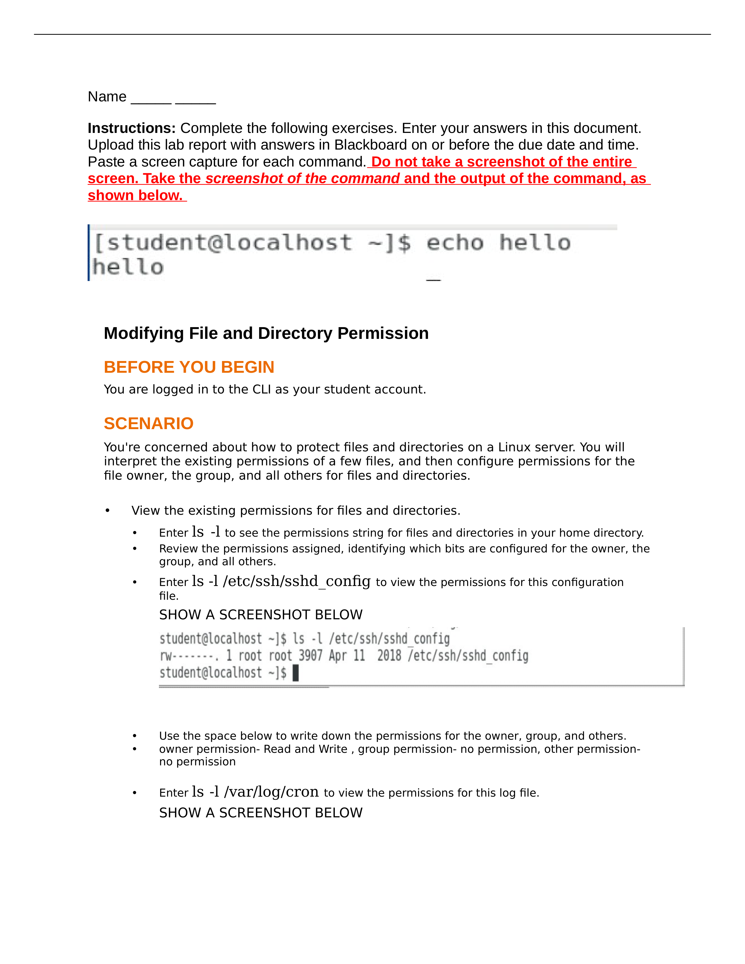 Lab 14-Lesson 3-Managing Permissions and Ownership (Activity 3-1& 3)(1)done.docx_dorrpdnnjao_page1