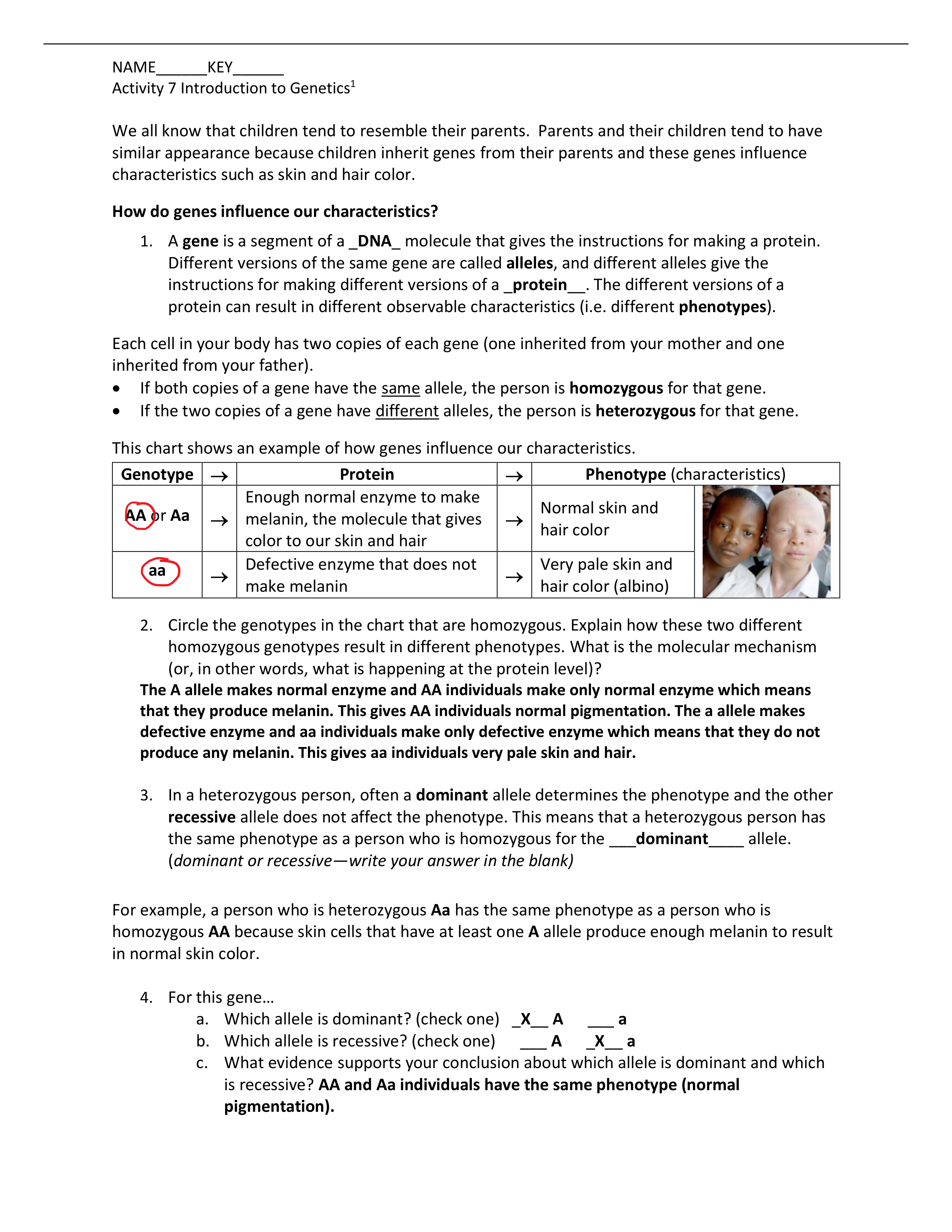 Activity 7 Intro to Genetics KEY.pdf_dov55gkog4y_page1