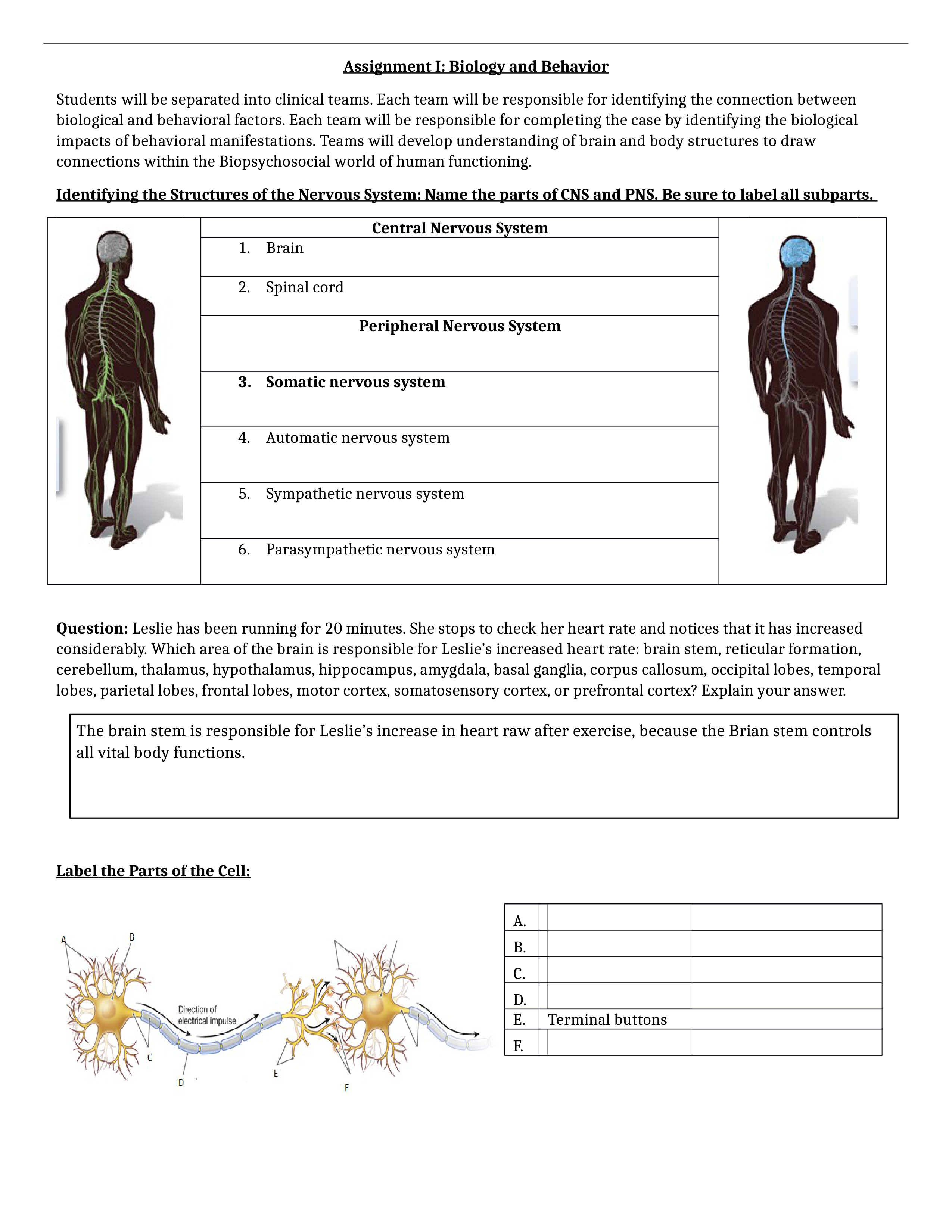 Midterm.docx_dp17fdmm39w_page1