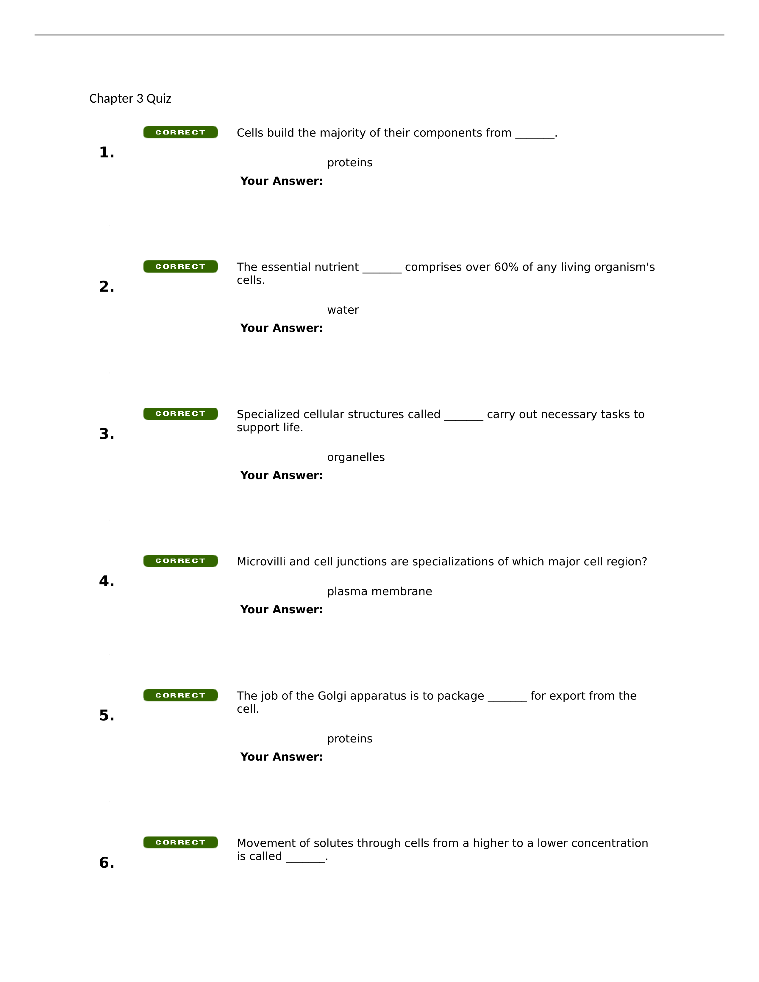 Chapter 3 Quiz.docx_dpa11jqtixz_page1