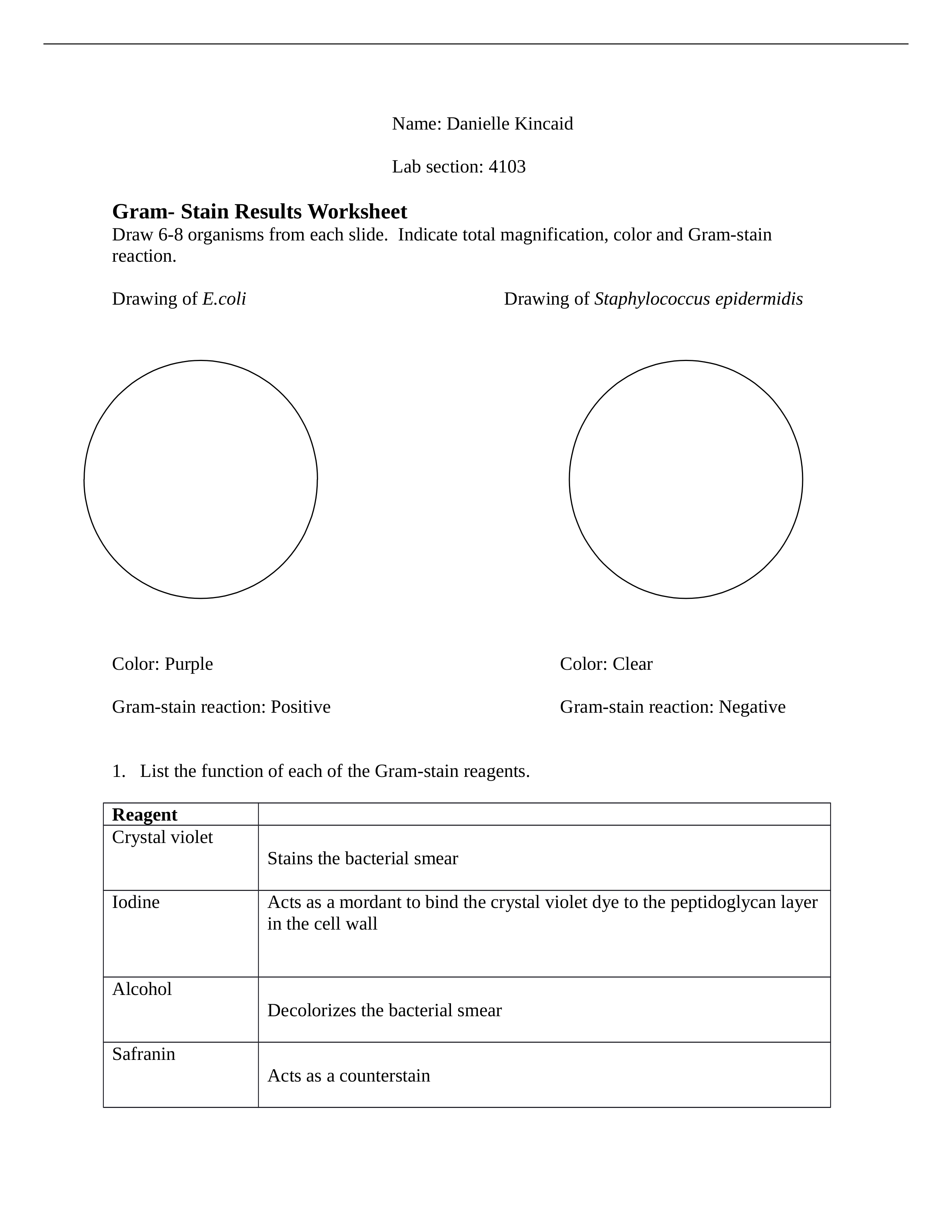 gram stain worksheet individual_dptobgz5e4m_page1