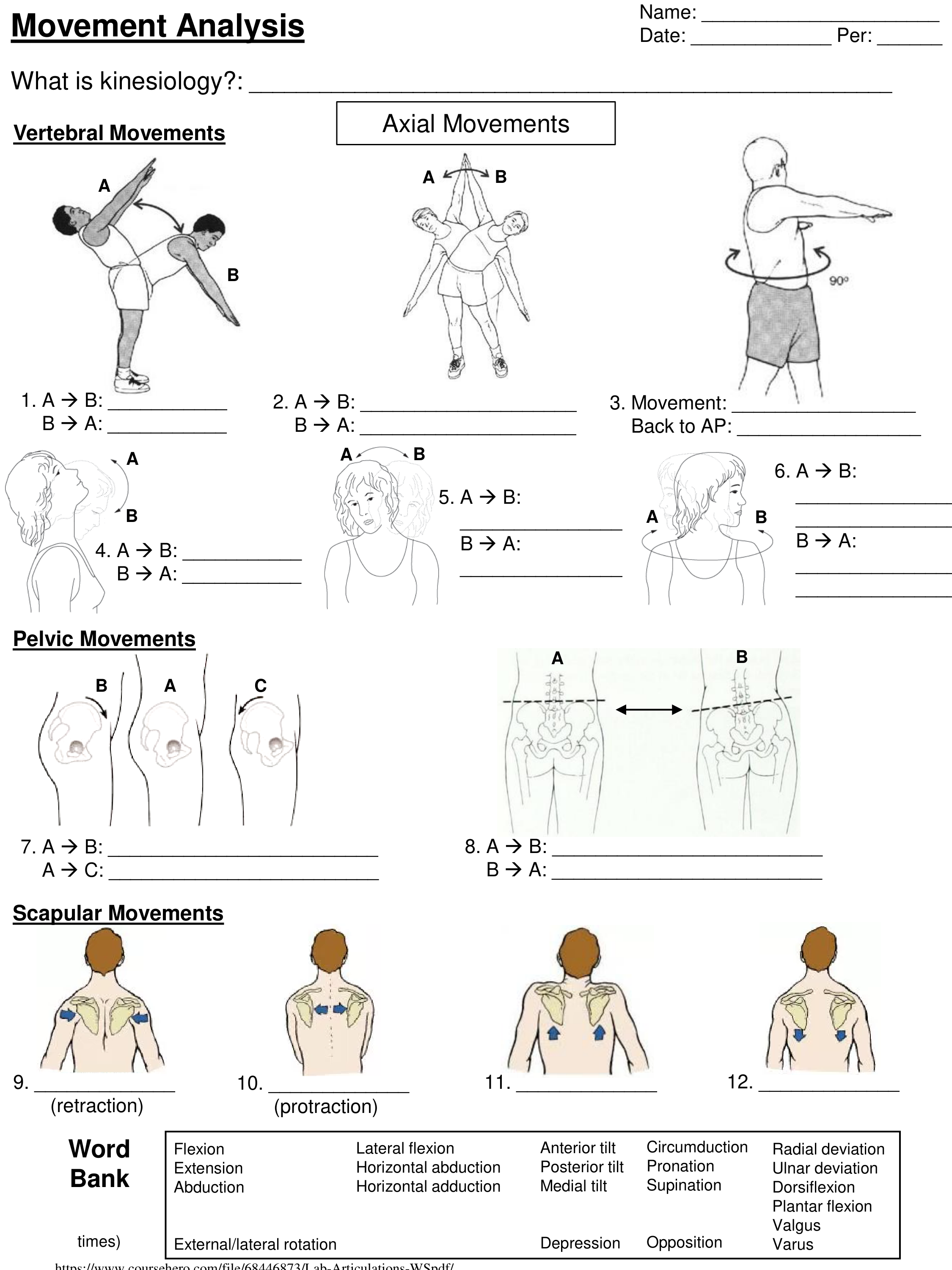 Lab Articulations WS.pdf_dpzj8t0bt45_page1