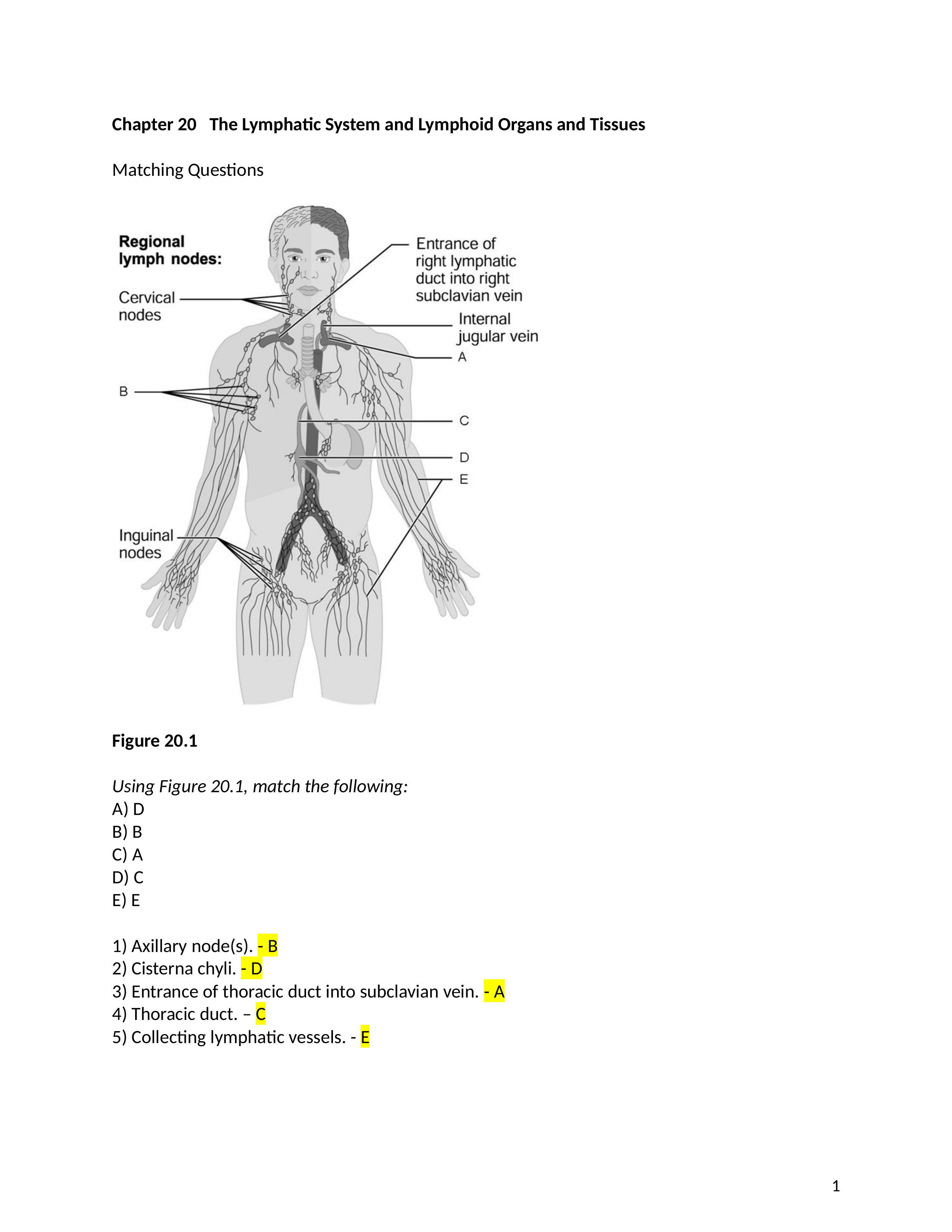 ch_20_worksheet.docx_dq07zlupes0_page1