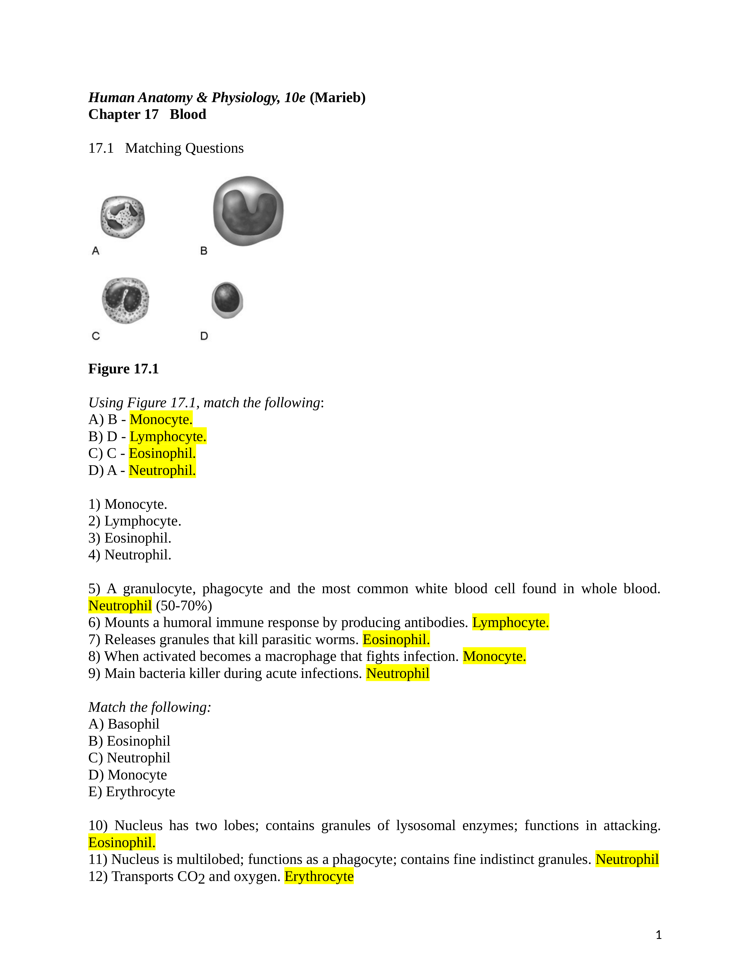 ch_17_worksheet(1).docx_dq7165k63eg_page1