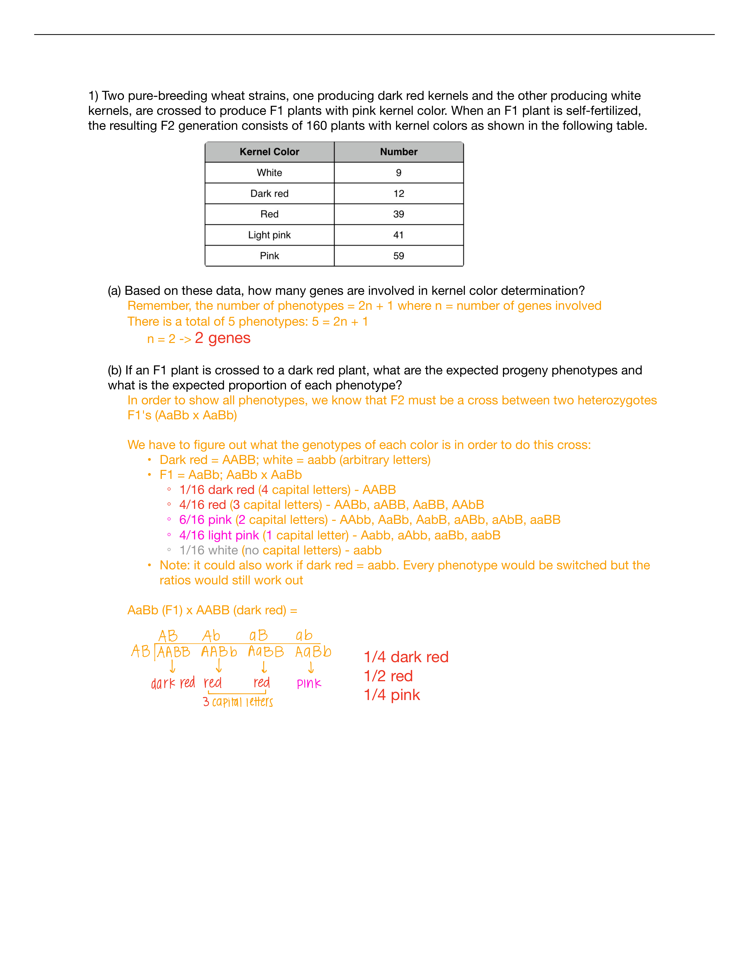 Assignment 7 work through_dqav9x0eqpc_page1