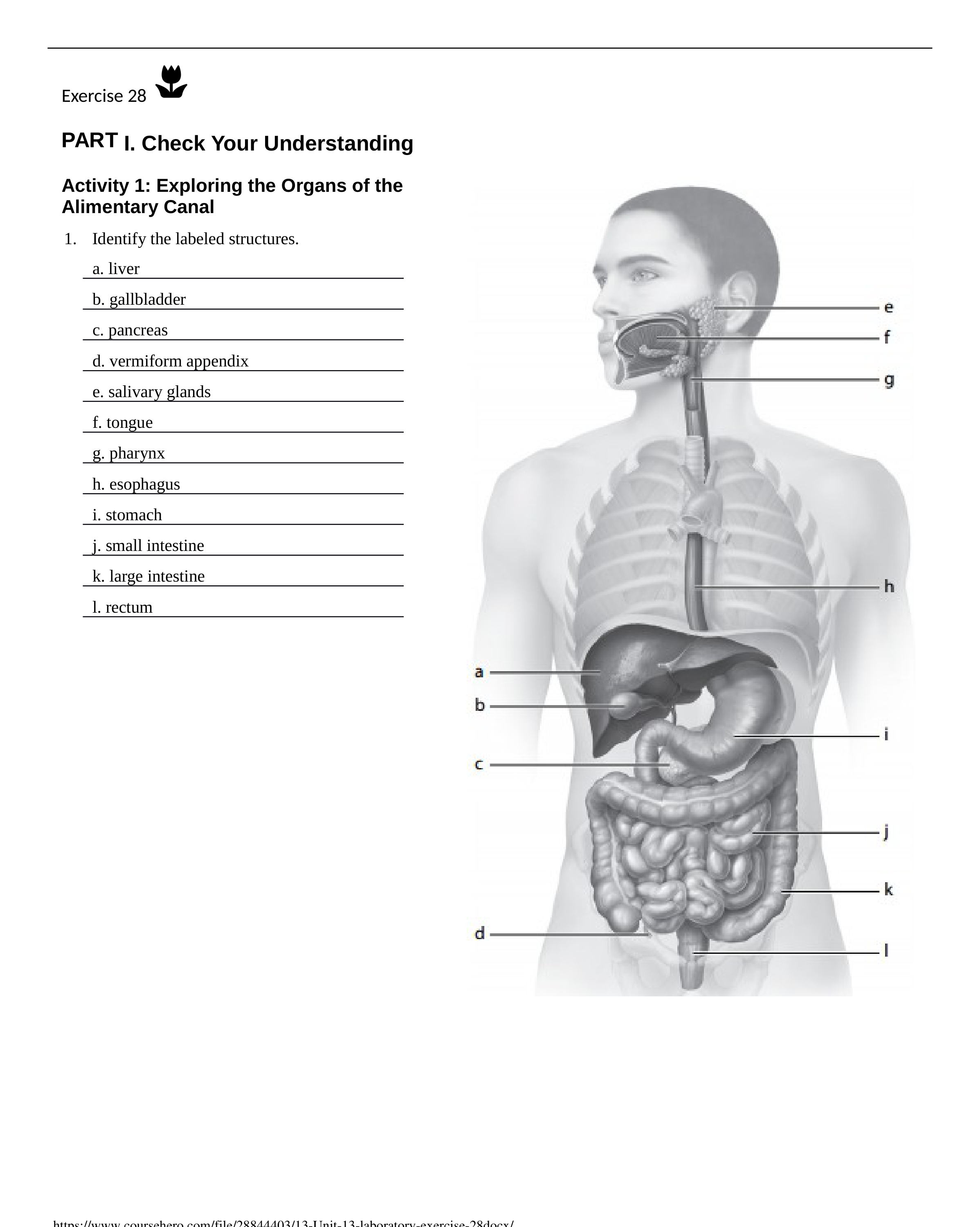 13. Unit 13 laboratory exercise 28.docx_dqduosjr404_page1