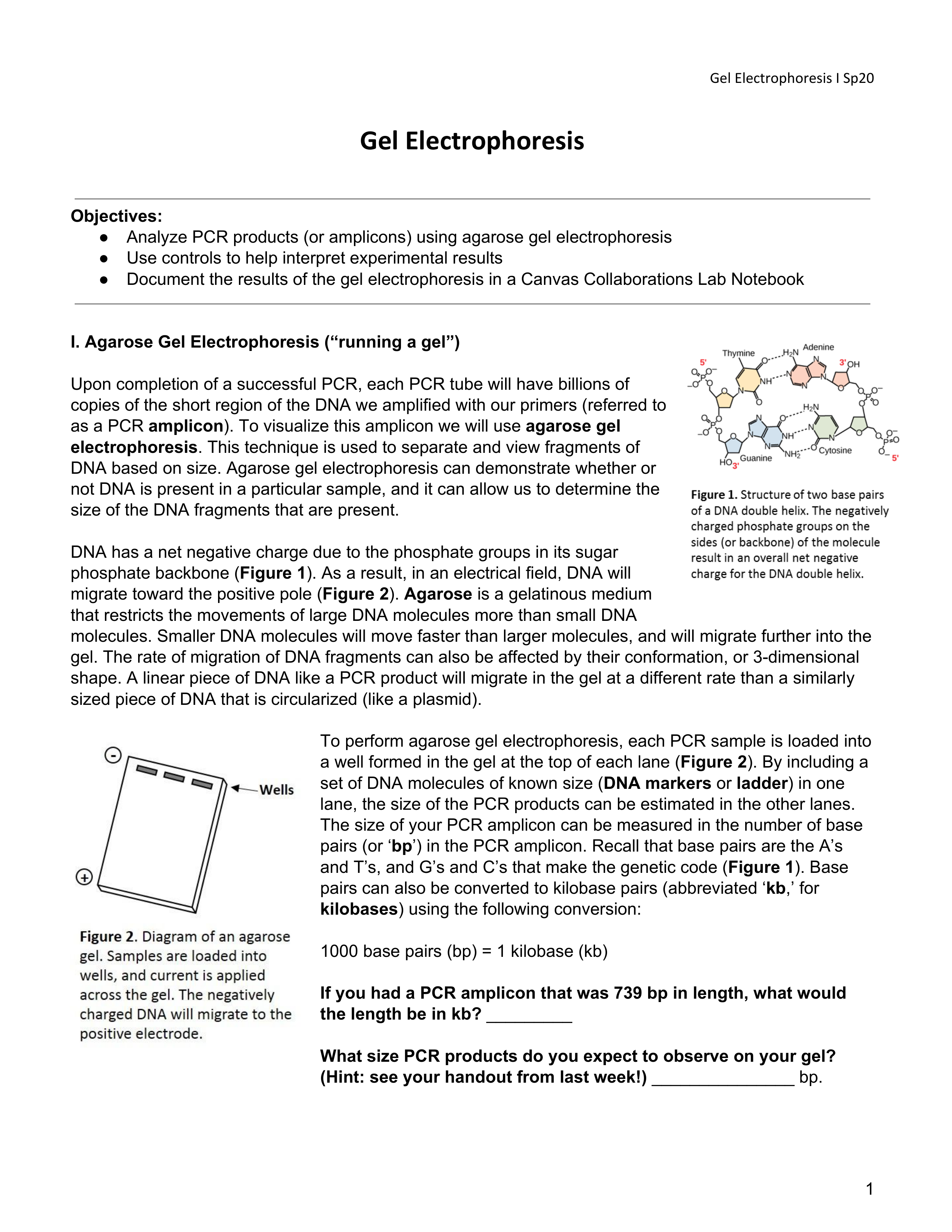 PRINTME_GelElectrophoresisSp20.pdf_dqjjph2142w_page1