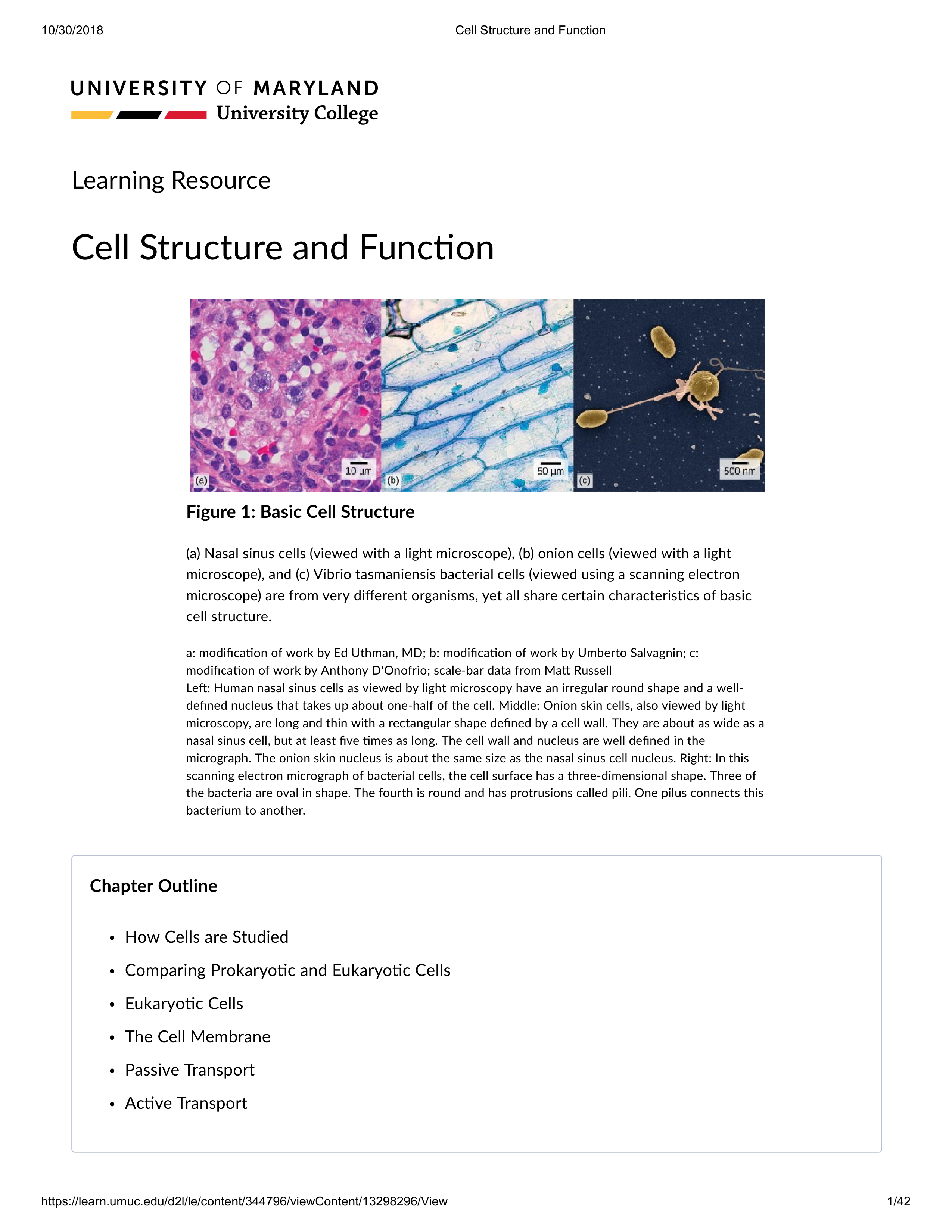 Cell_Structure_and_Function_-_BIOL_103_3155_Introduction_to_Biology_(2188).pdf_dqm2nk9irmf_page1