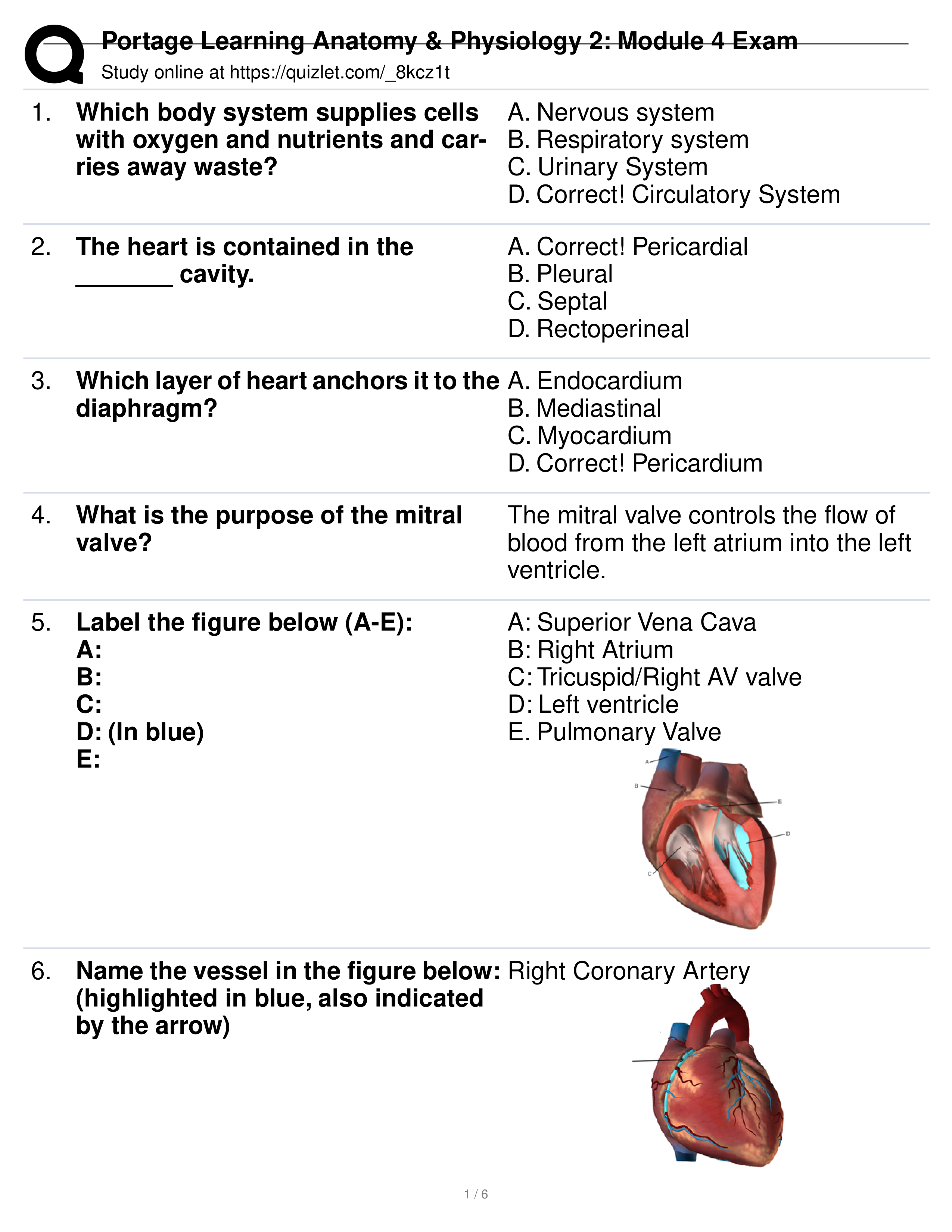 Portage Learning Anatomy & Physiology 2_ Module 4 Exam.pdf_dqt0vn27fon_page1