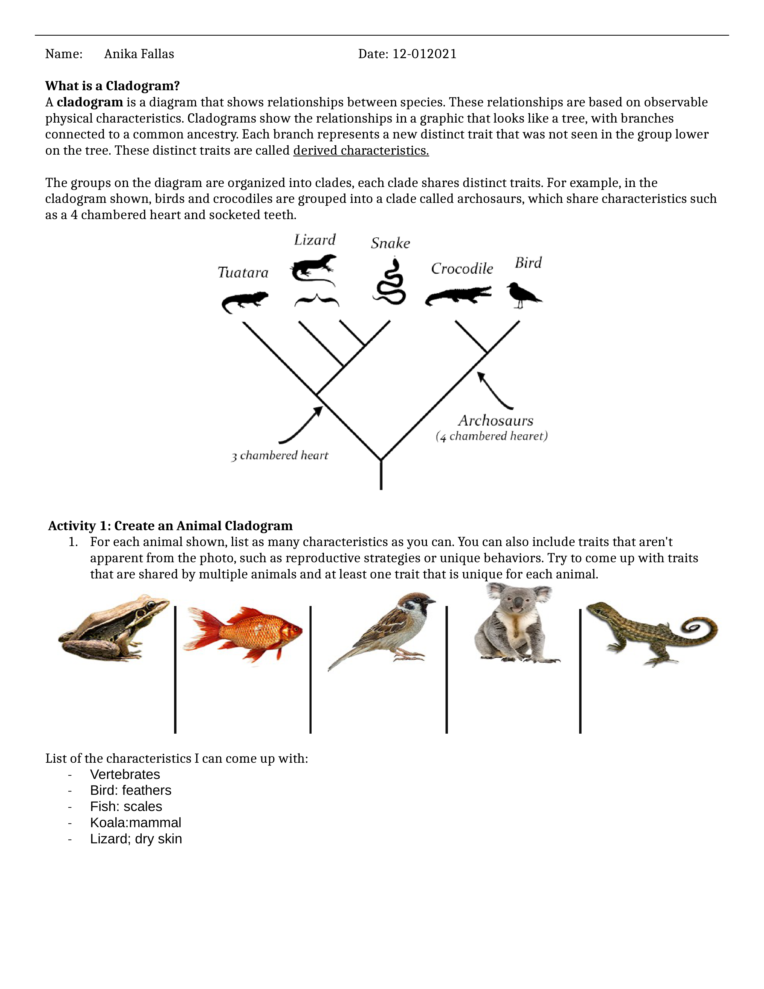 What is a Cladogram ANIKA.docx_dqysfrwyhdl_page1