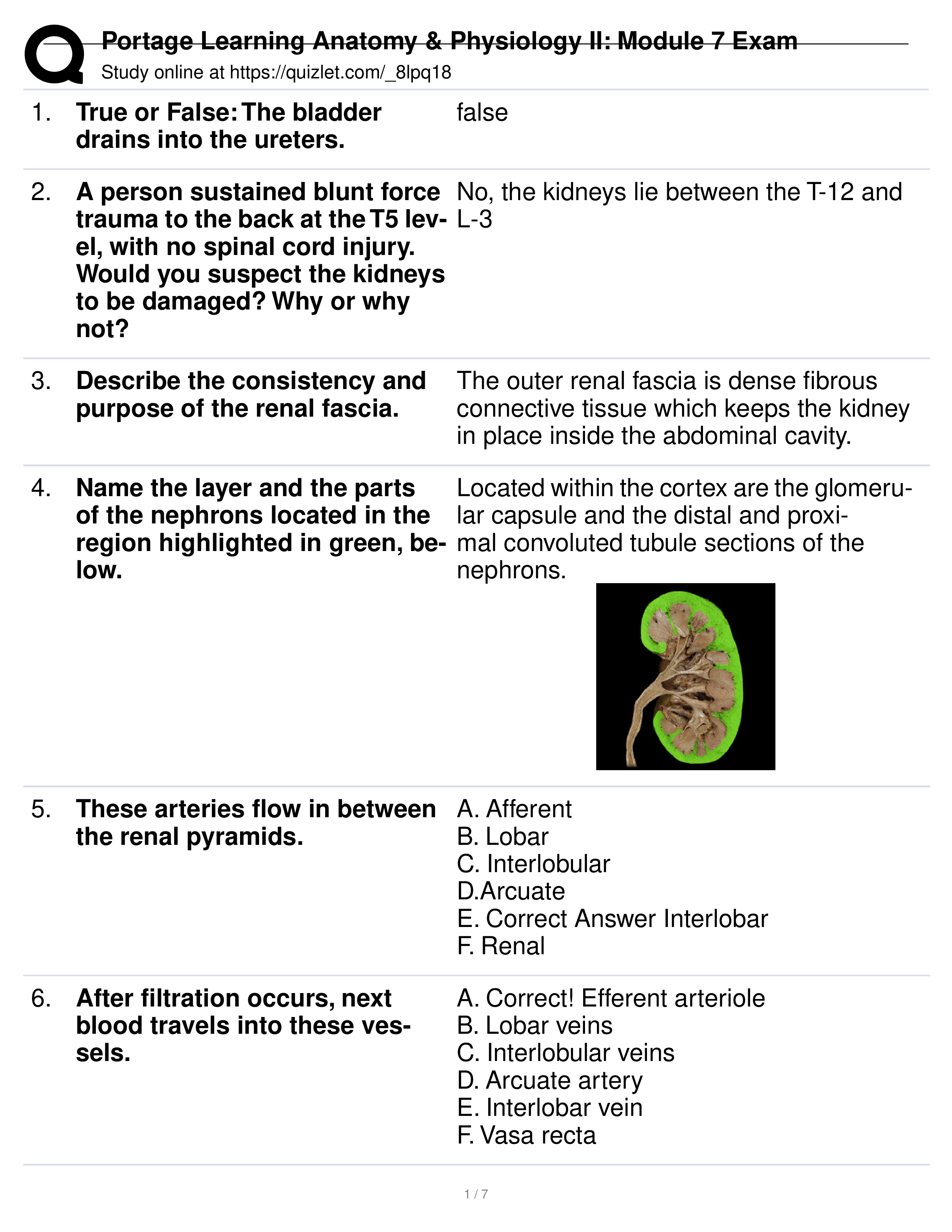 Portage Learning Anatomy & Physiology II_ Module 7 Exam.pdf_dr2tfcd3b9m_page1