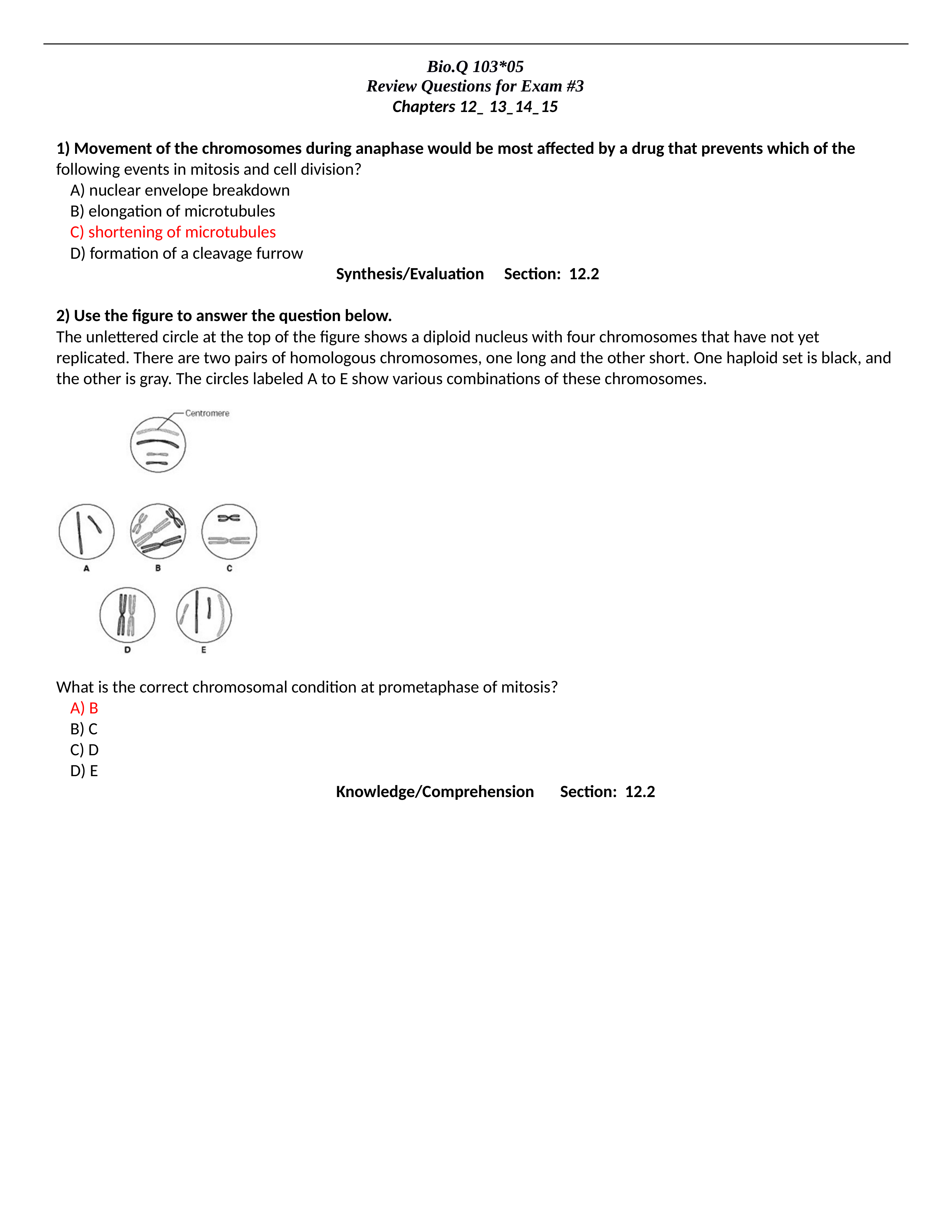 Exam 3 answer bank .docx_dr42k5dcxib_page1