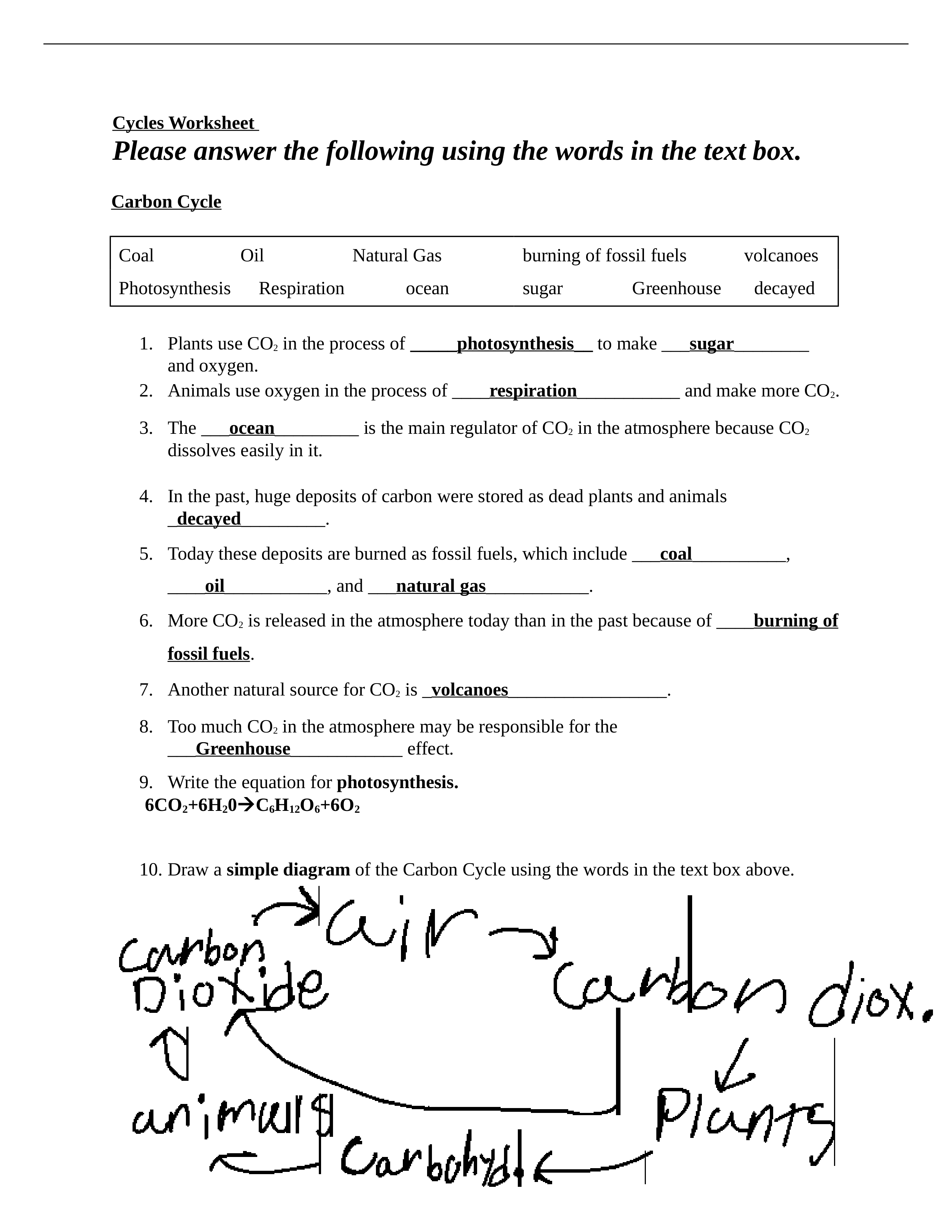 CycleWorksheet.docx_dr69fegn7qj_page1