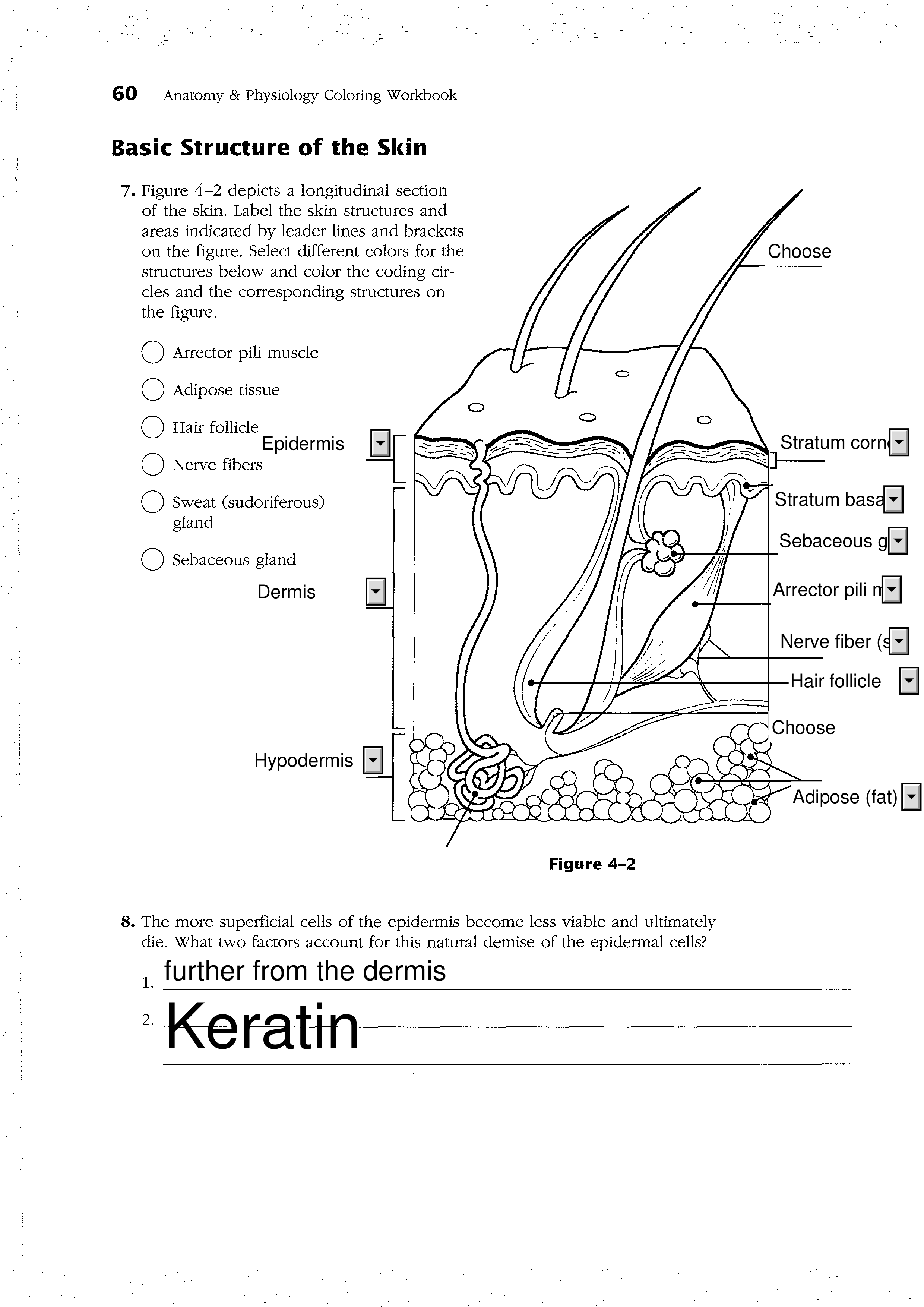 1-1 Skin (Clickable) (2) (1).pdf_dr7u13ikmeu_page1