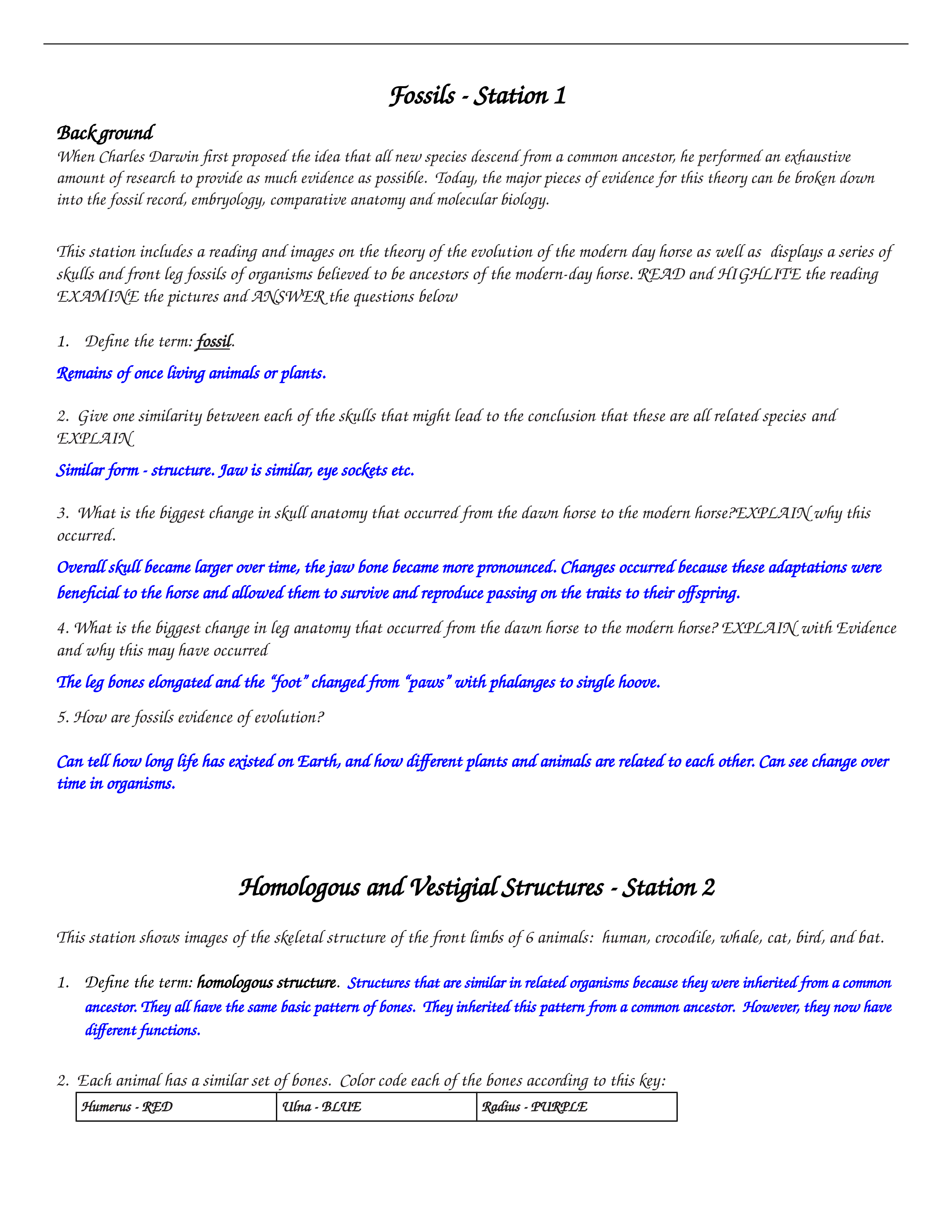 Answer Key-Evidence Evolution Stations booklet_fossil-station 1.docx_dr88pnvj8c4_page1