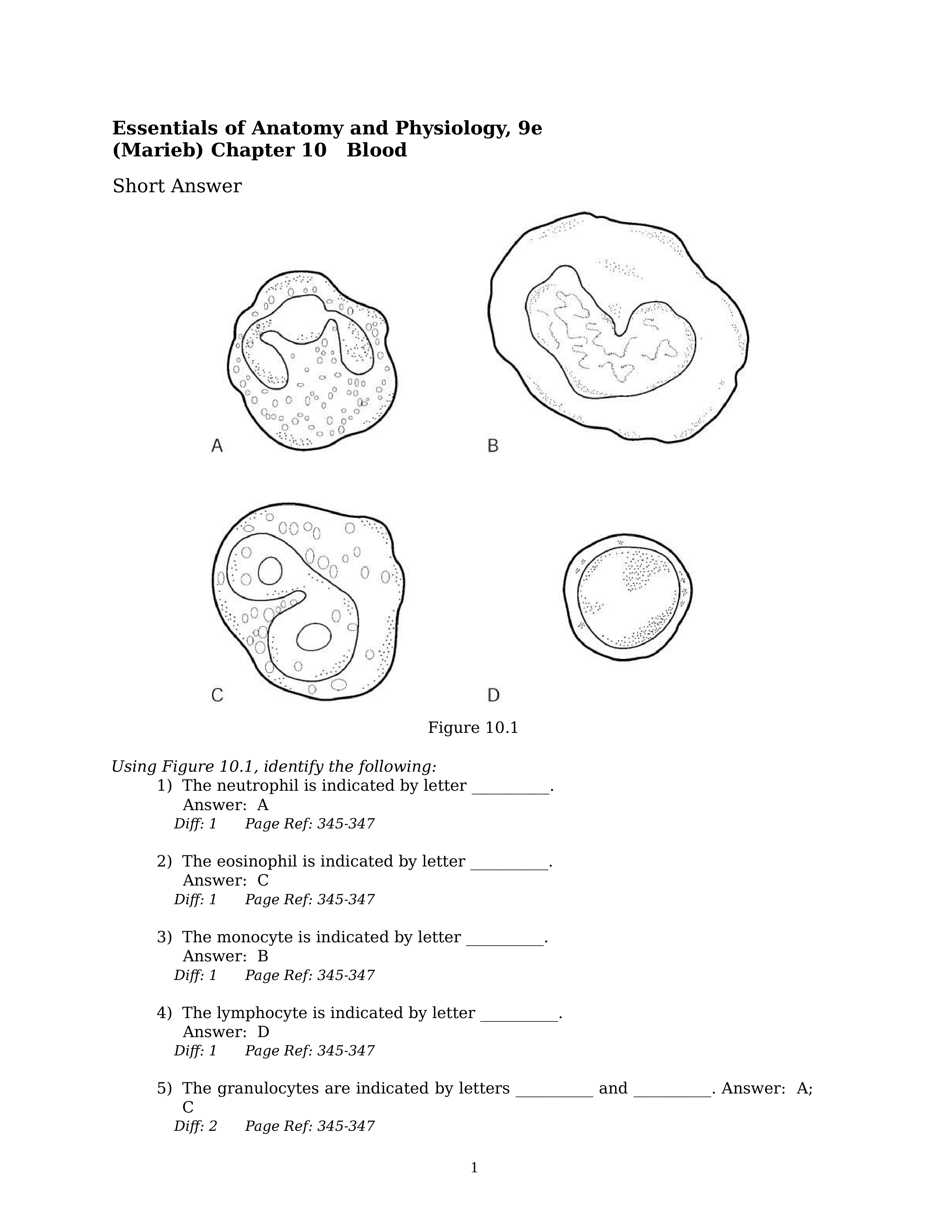 AP study guide chapter 10 blood.docx_drevhyzqldx_page1