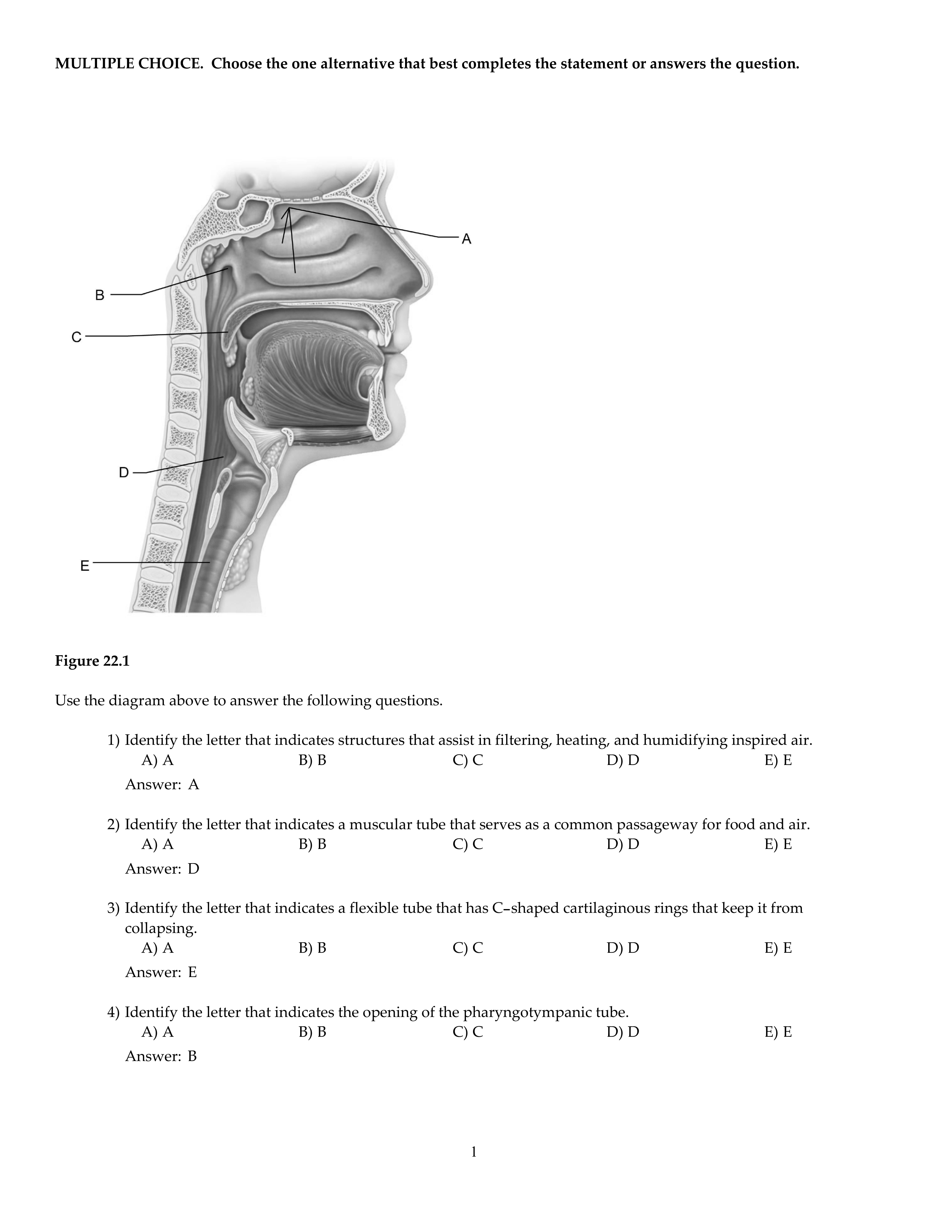 CH22.pdf_droauxjsyus_page1