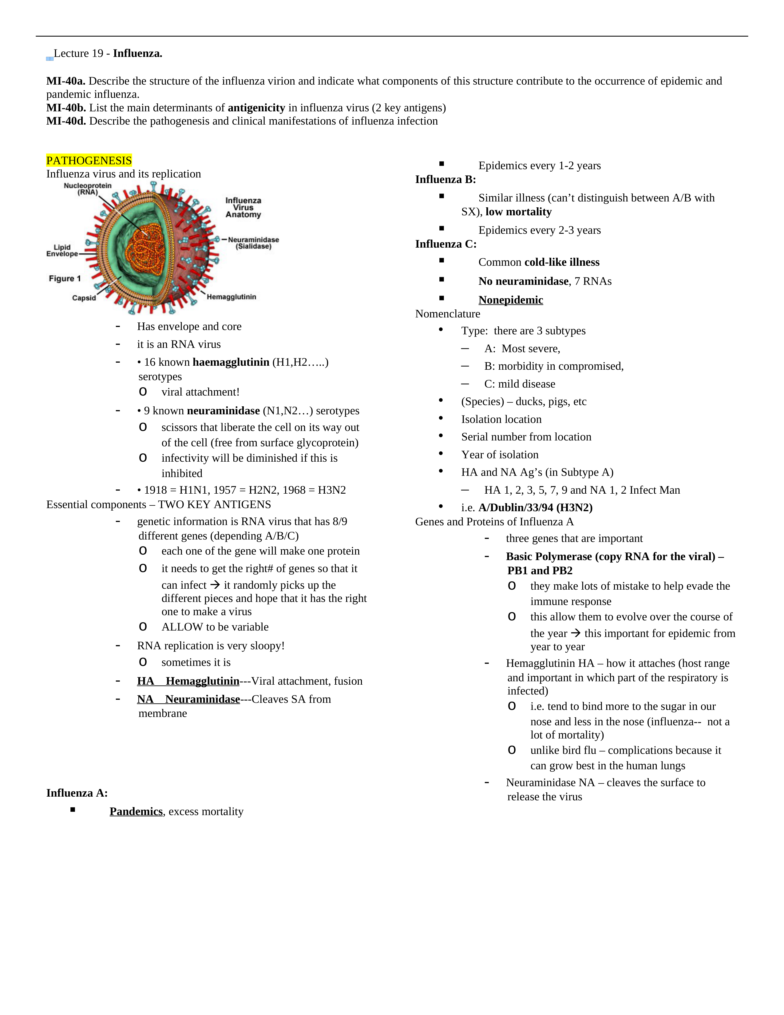 Lecture 19 - Influenza_drqsmdc5bc7_page1