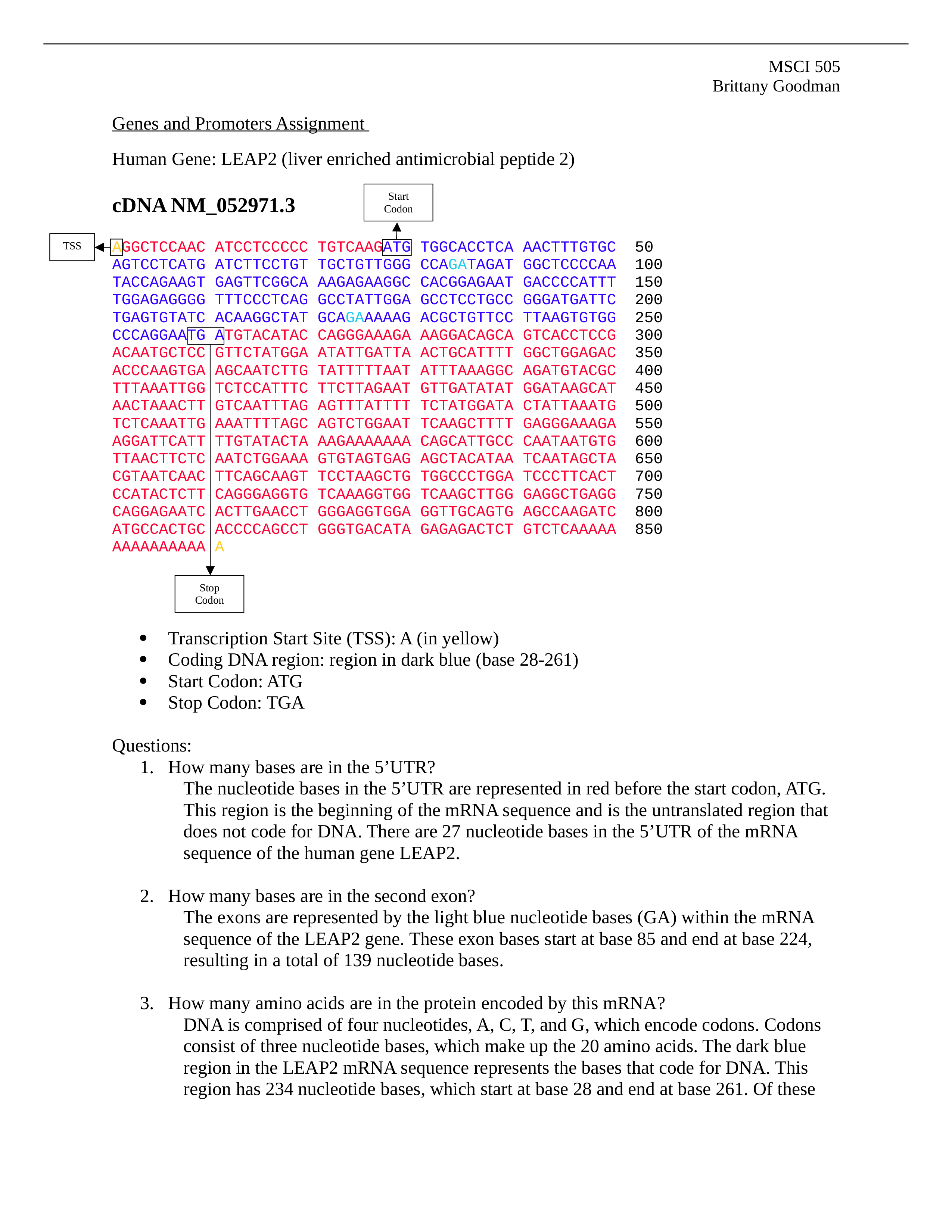 Genes and Promoters Assignment.docx_drtf5e5yqyi_page1