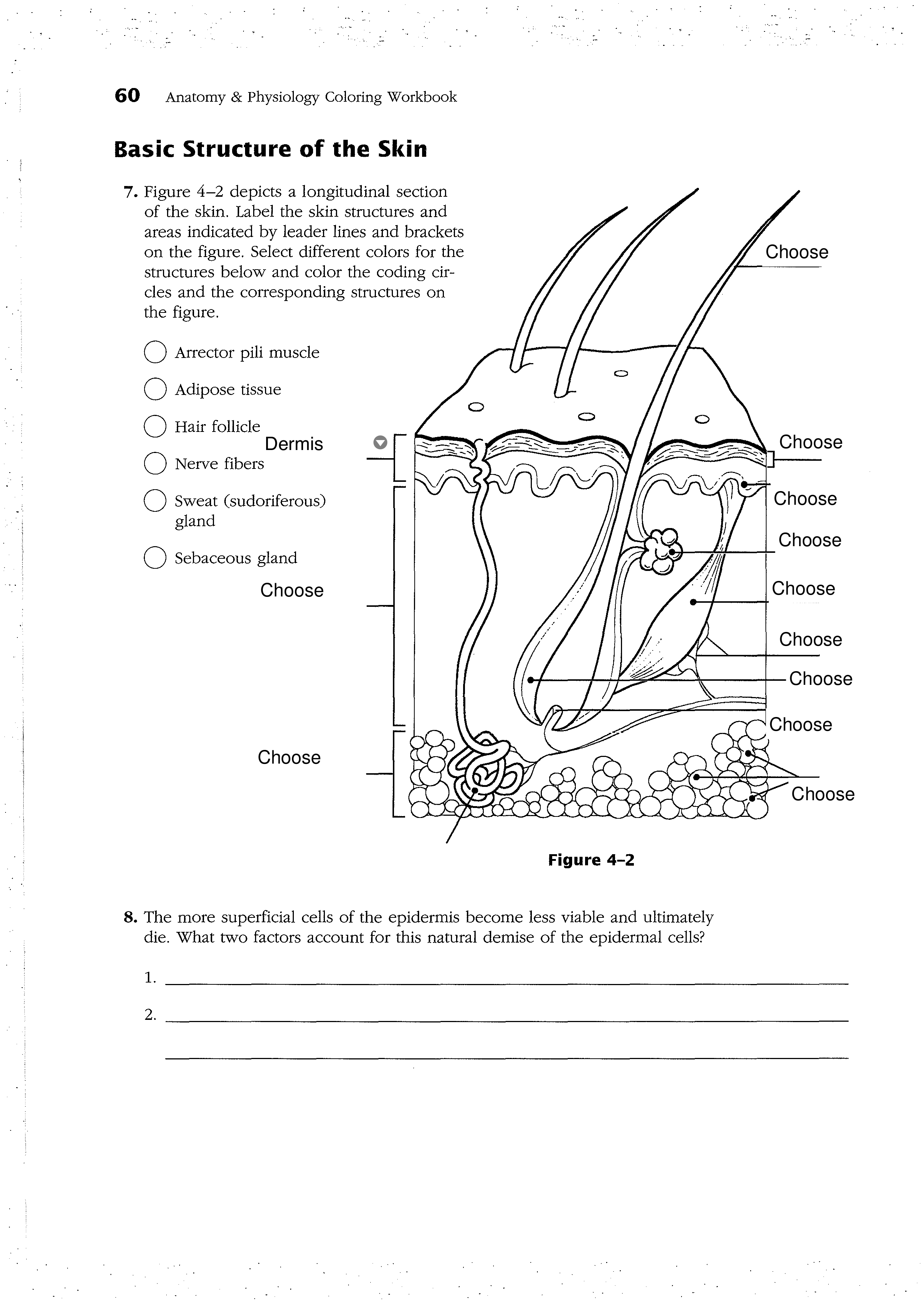 1-1 Skin (Clickable) (1).pdf_drxx6i13eeg_page1