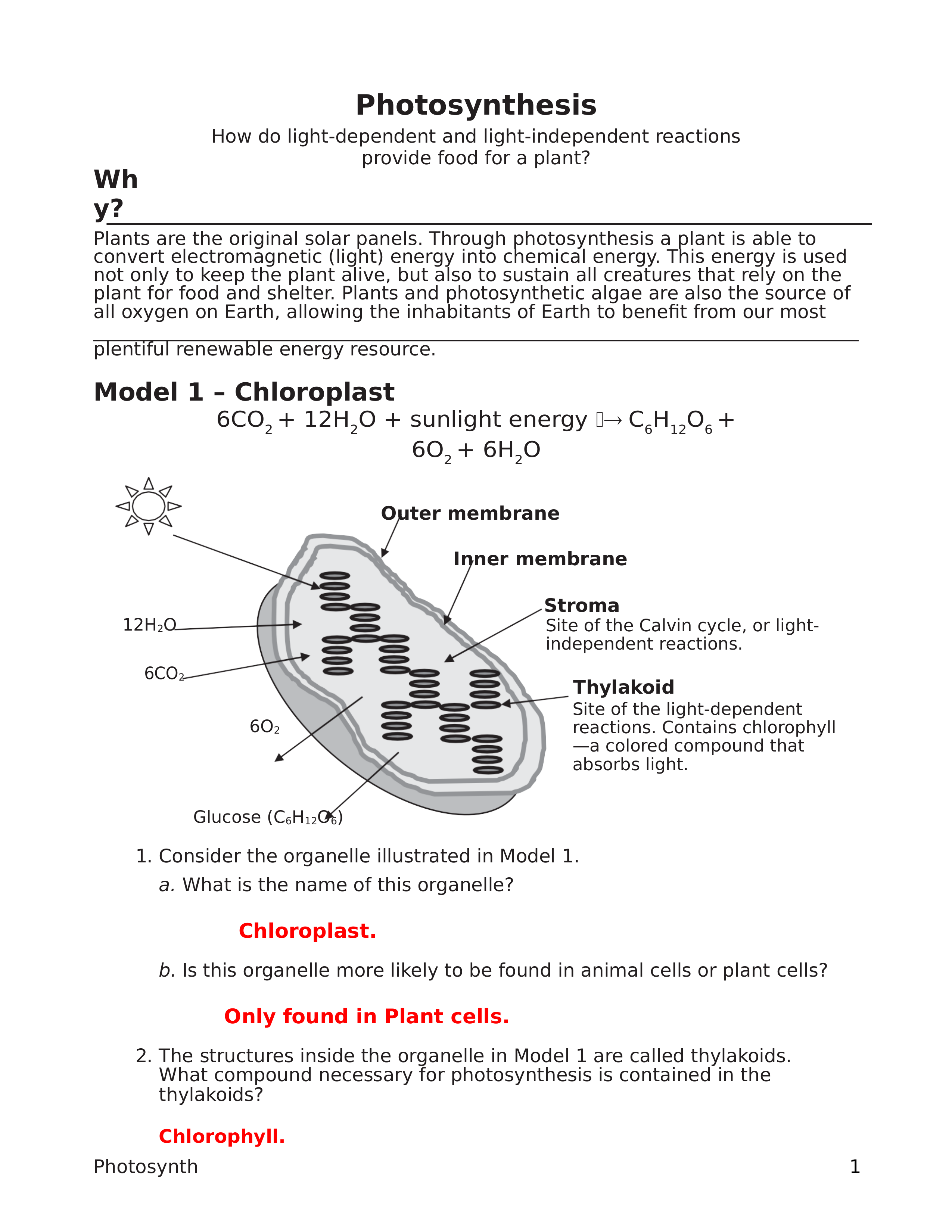 Photosynthesis Pogil.docx_dryf8z2yfvo_page1