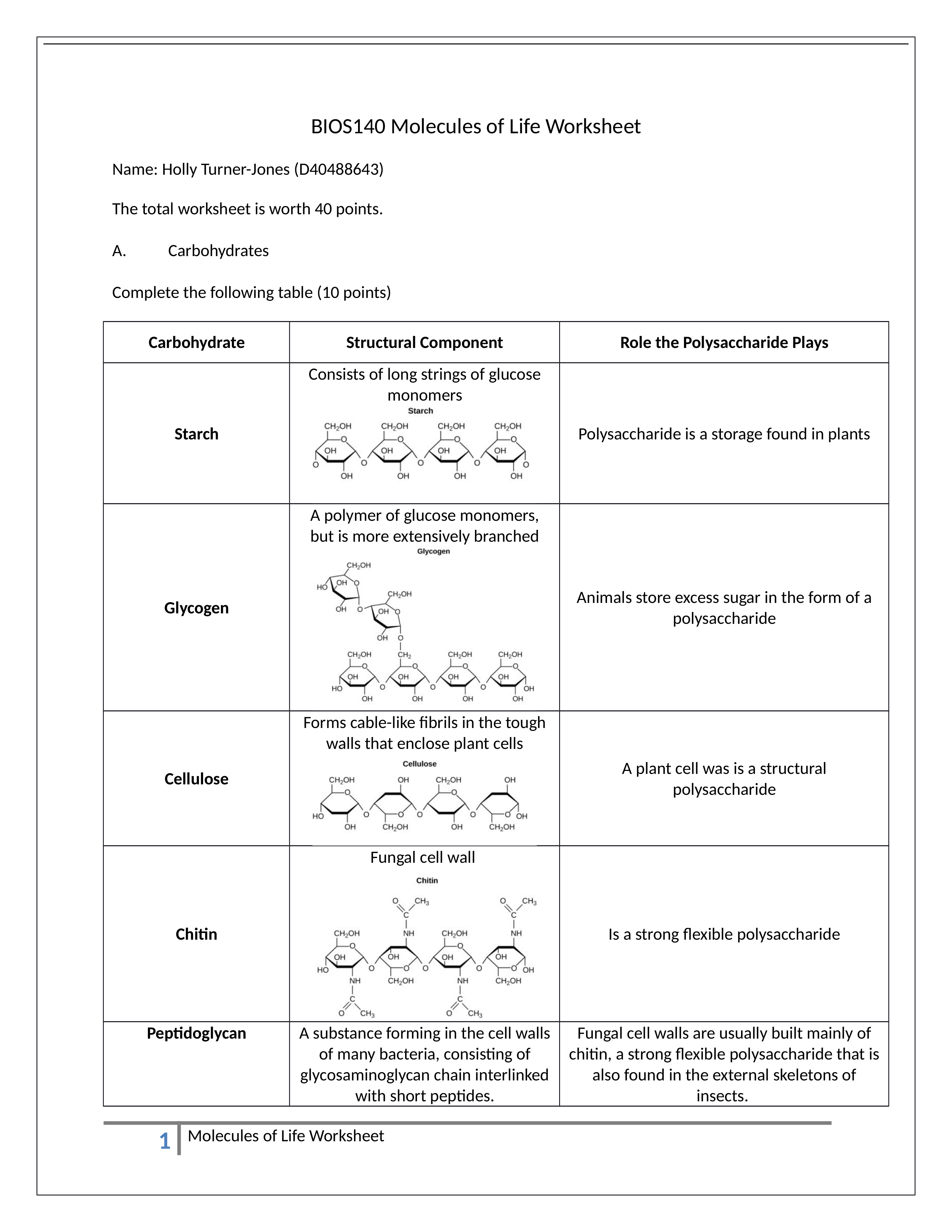 Assignment - Molecules of Life Worksheet_dsdsca1w7nl_page1