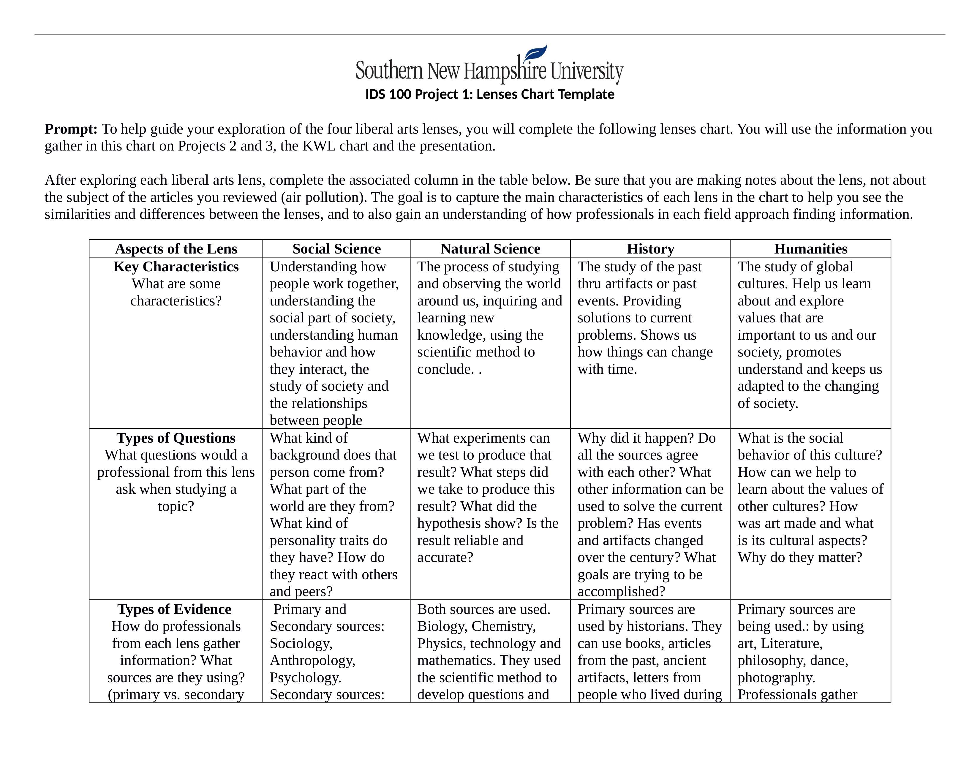 IDS 100 Lenses Chart Template (3).docx_dsirugv73to_page1