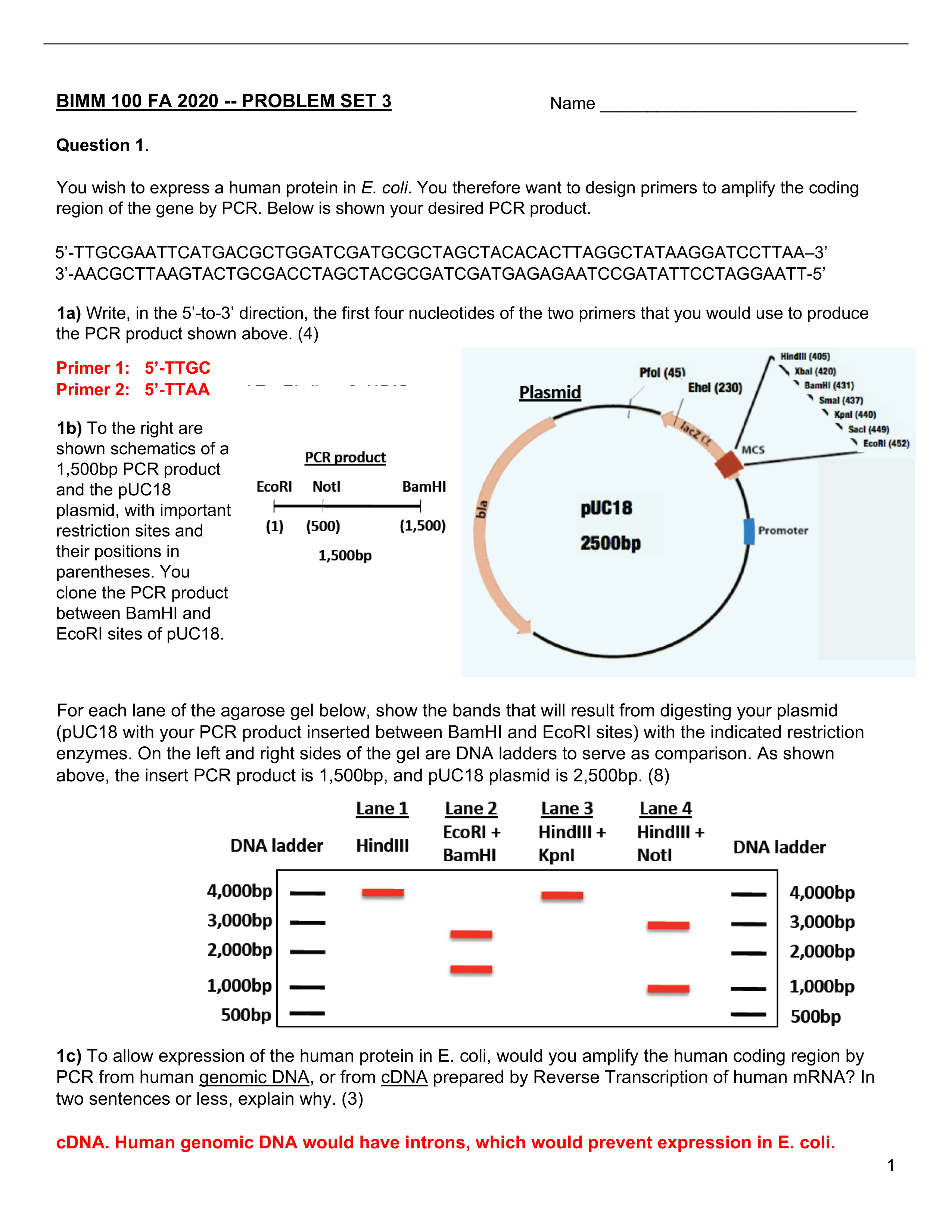 2020 Problem Set 3 KEY (L6-8).pdf_dsl3as11c6m_page1