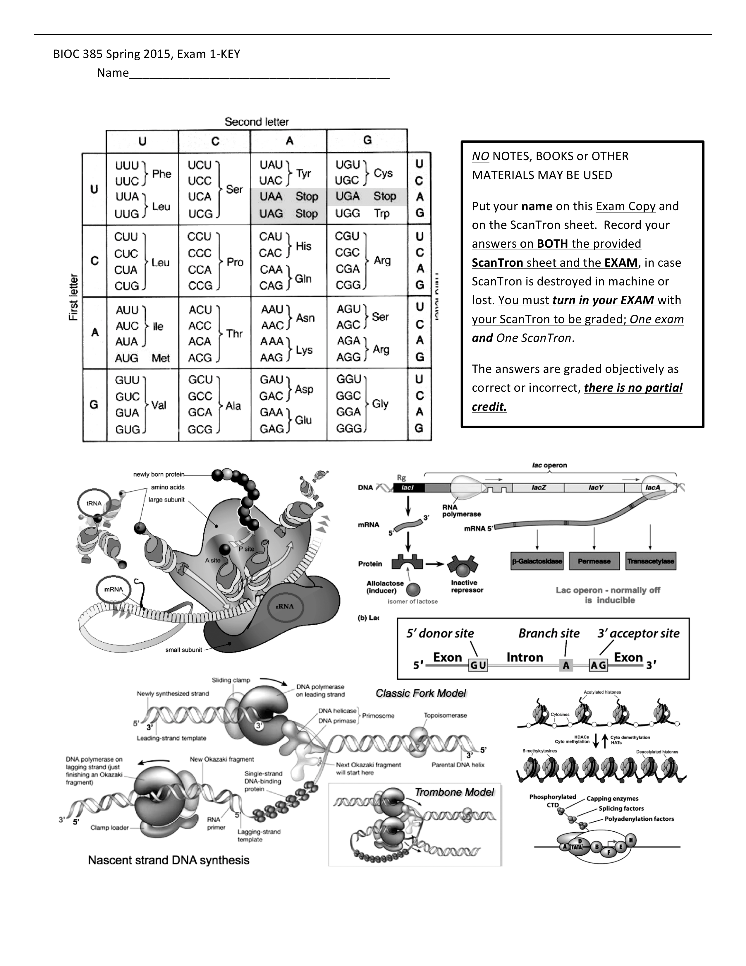 BIOCHEM 385 - EXAM 1 KEY_dsn28x5qgfp_page1