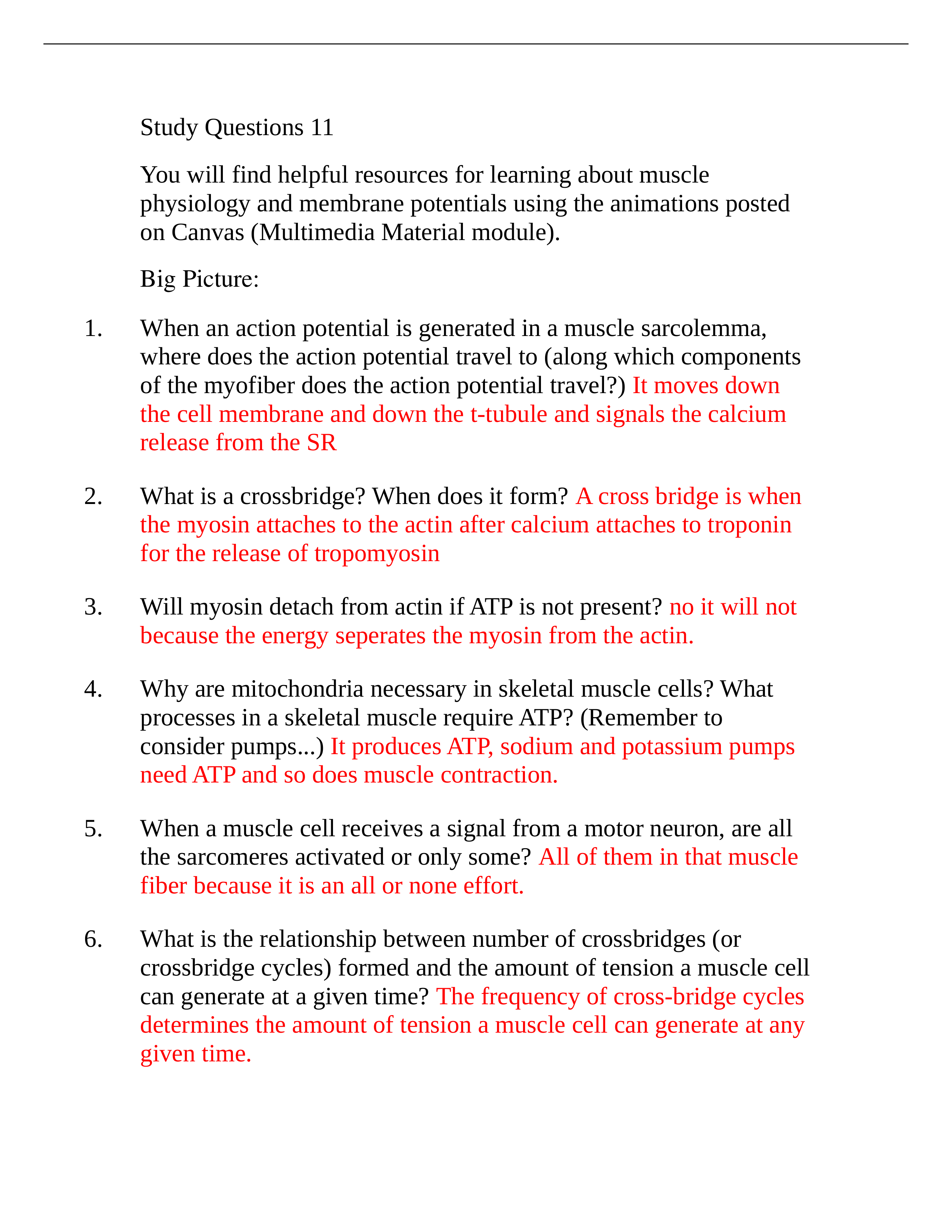 Study Questions 11_dt4uvbmfx0v_page1