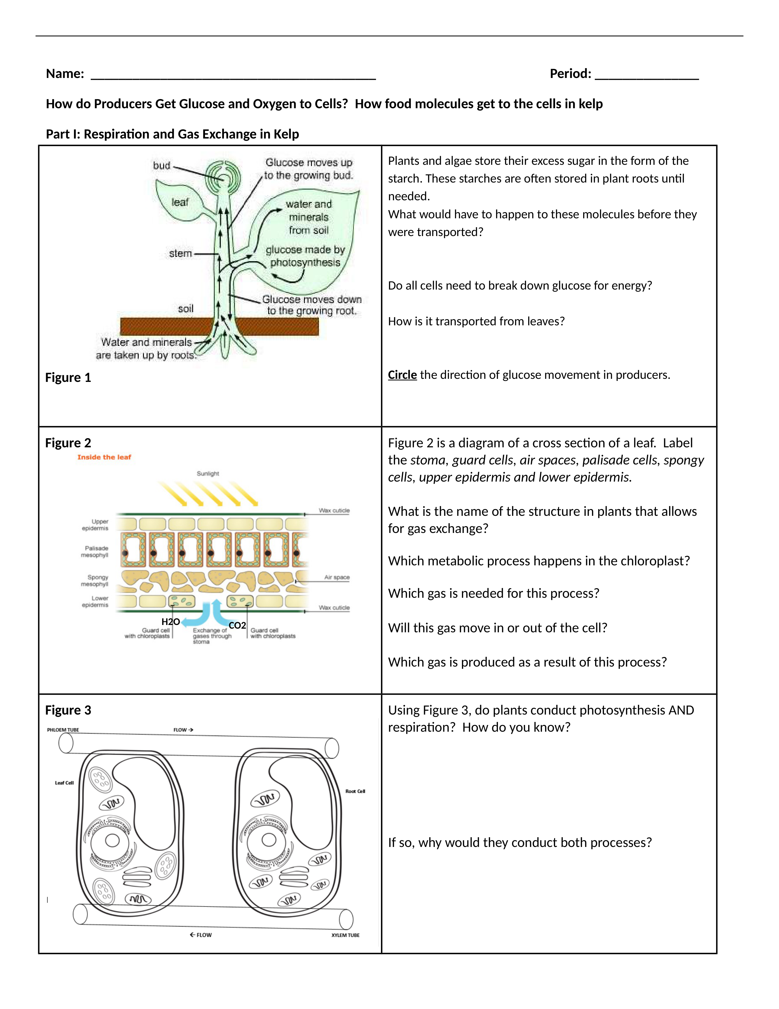 BIOL111_Lesson_19_-_Homeostasis_Cell_Respiration_in_Pacific_NW_Day_2_REMOTE_dtby1sy5mvg_page1