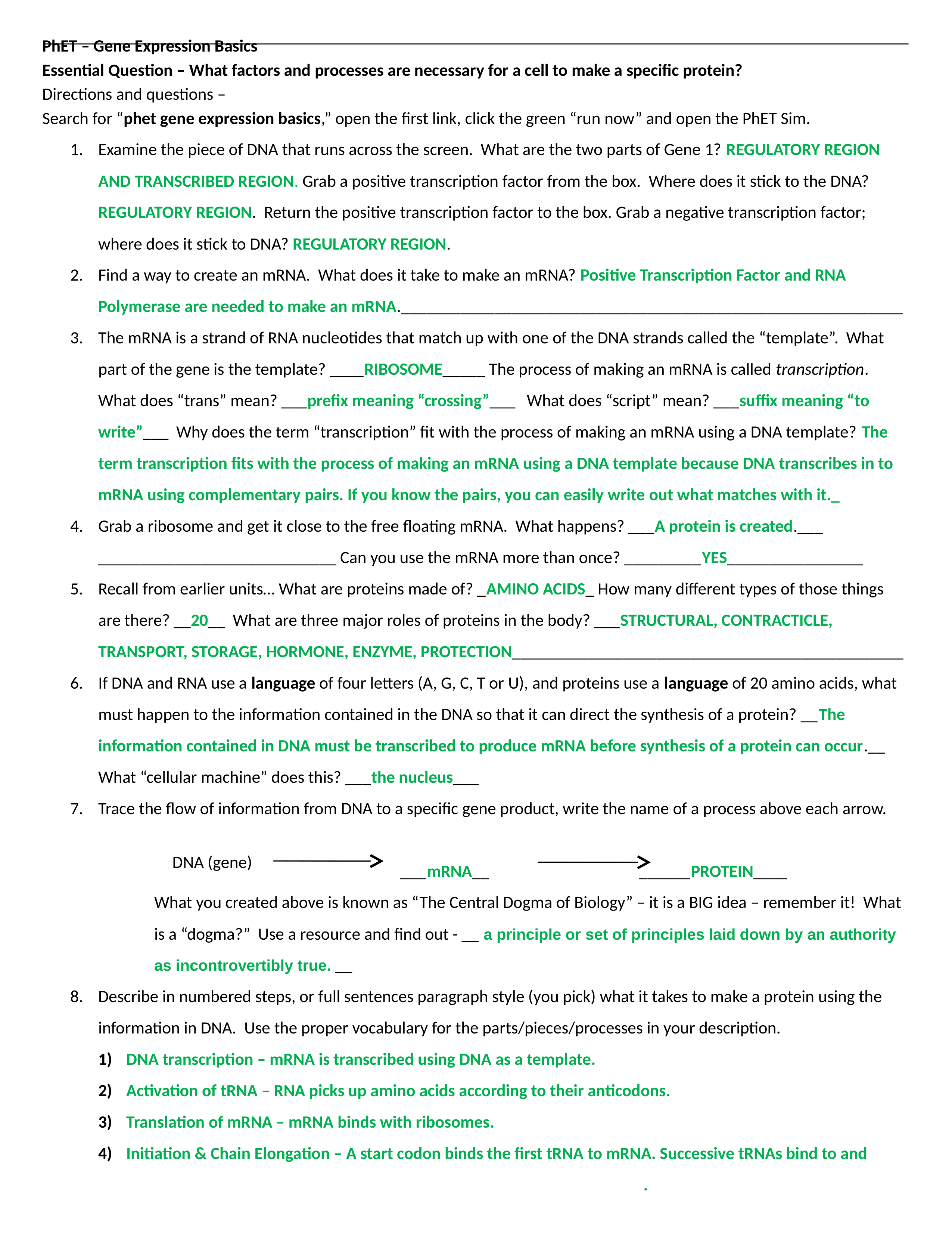 gene expression lab.docx_dth371qru9s_page1