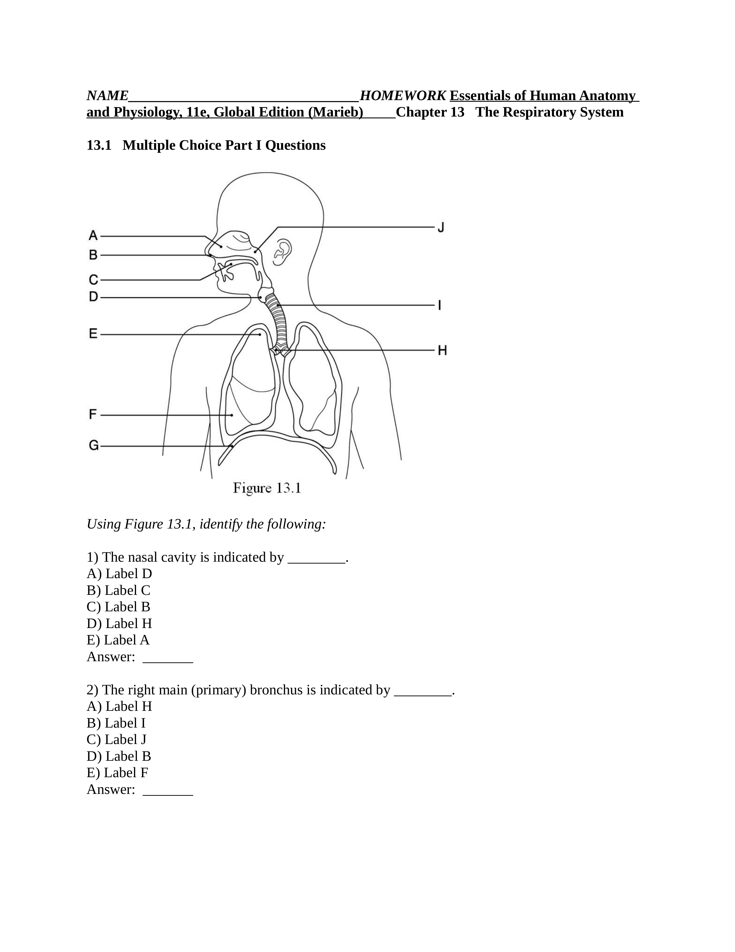 ch 22 The Respiratory System Homework.docx_dto056ldivr_page1