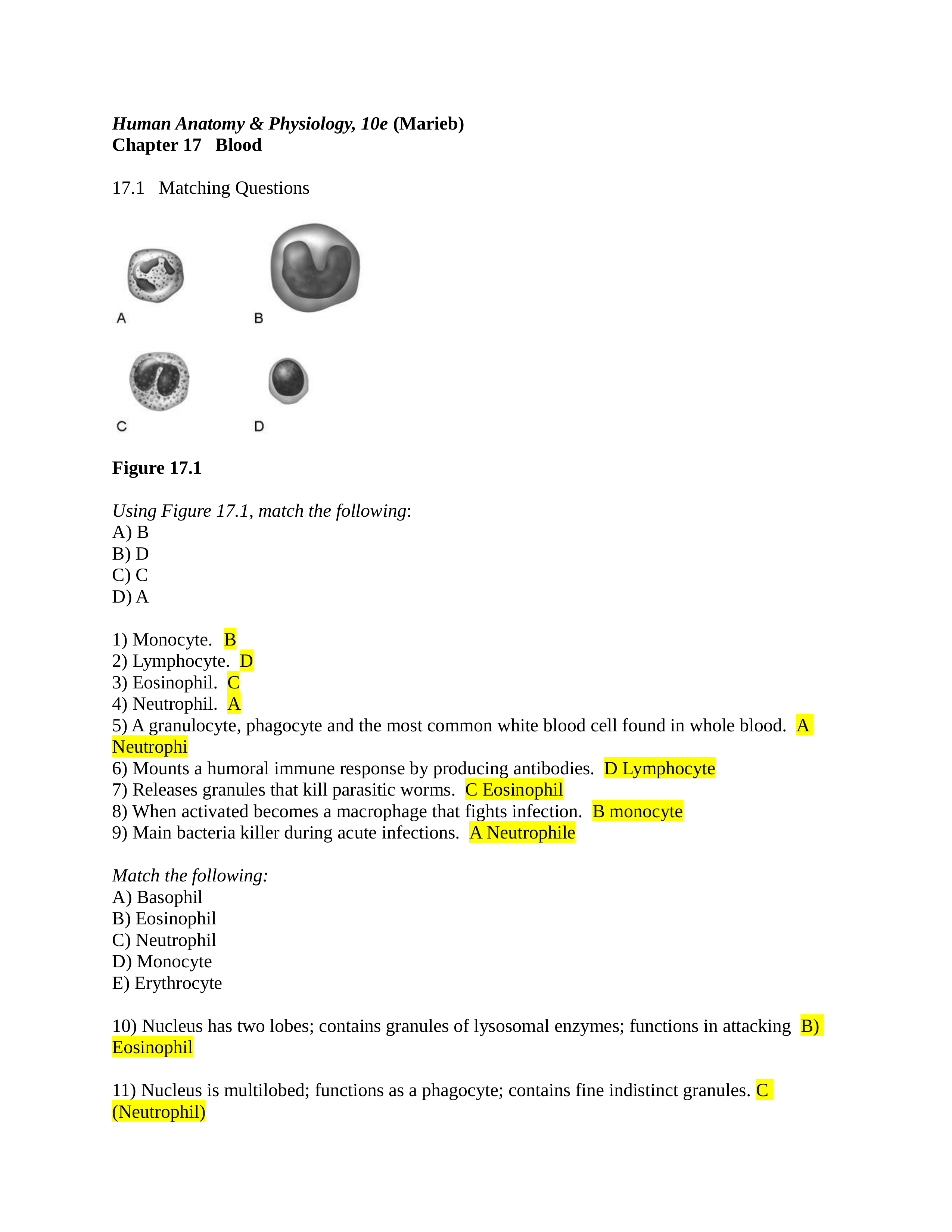 chapter 17 bio.docx_dtpzzugcemb_page1