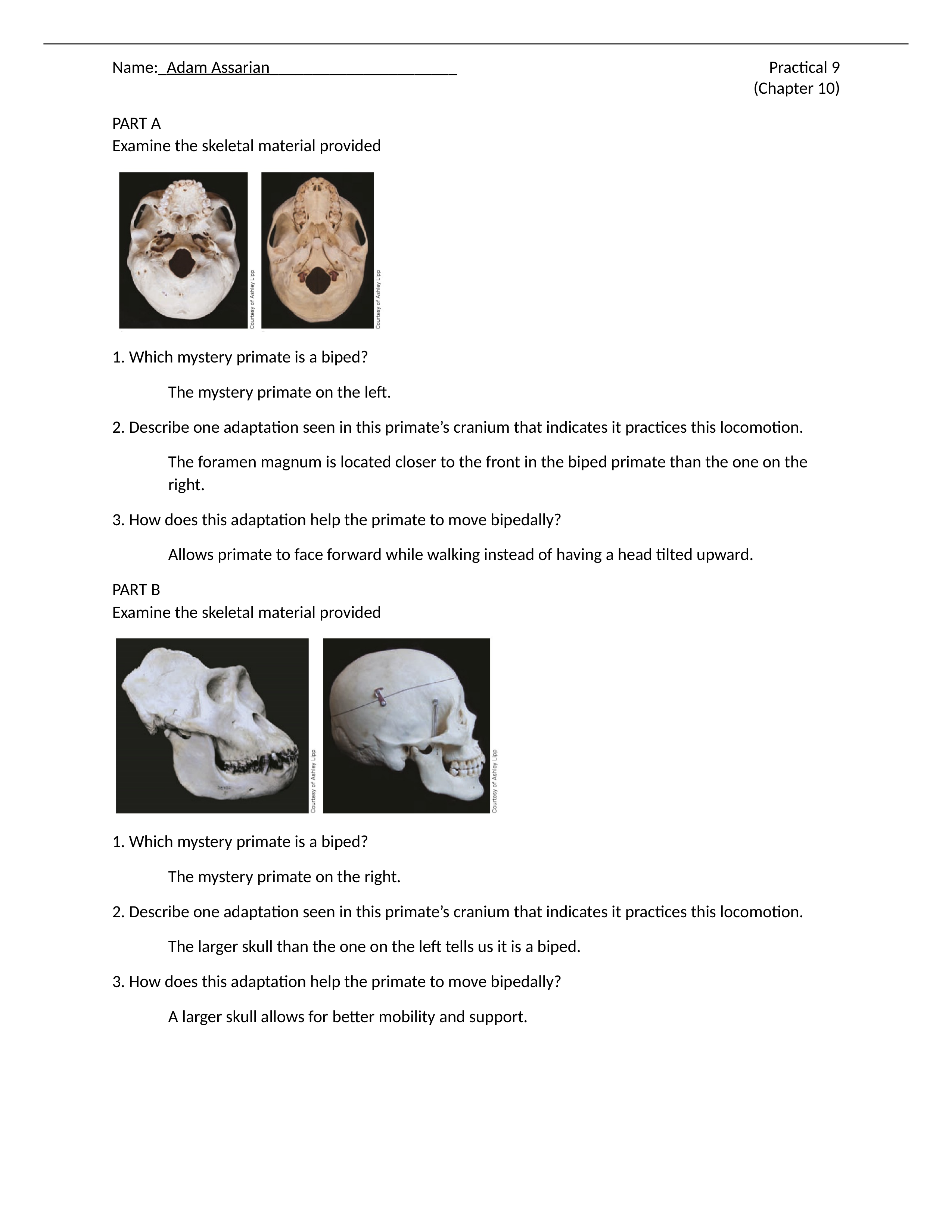 Practical 9.docx_dts6h2wc1q5_page1