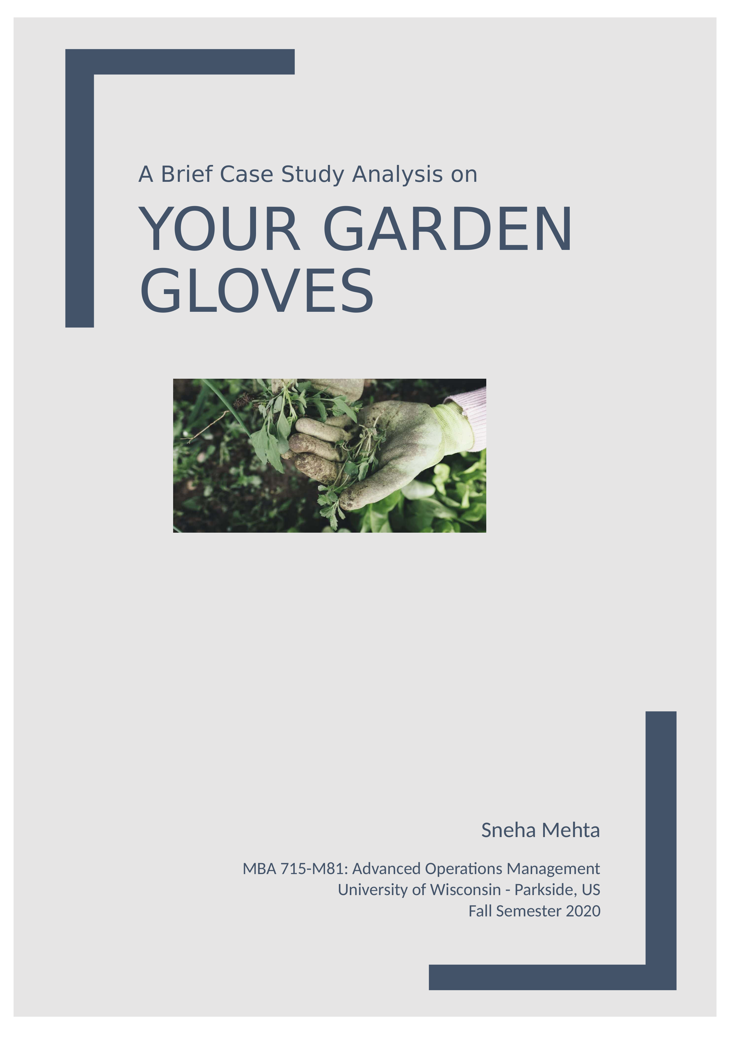 Garden_gloves.docx_dtz6l01v4uh_page1