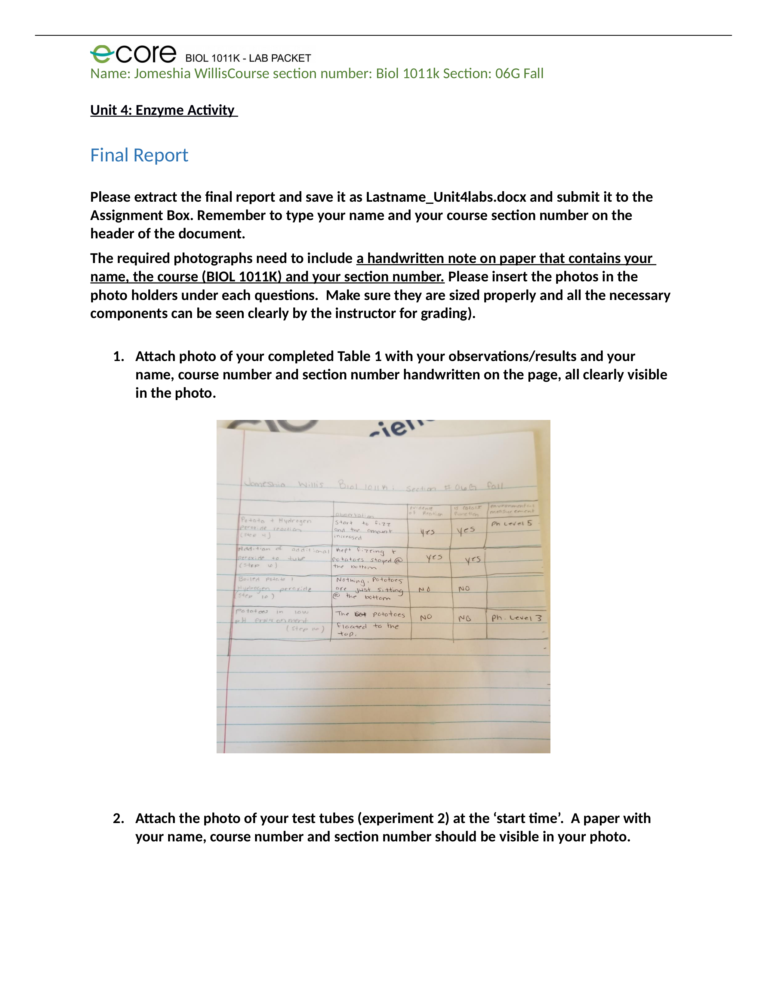 Willis_Unit4FinalReport (1).docx_du9vrwvcpfa_page1