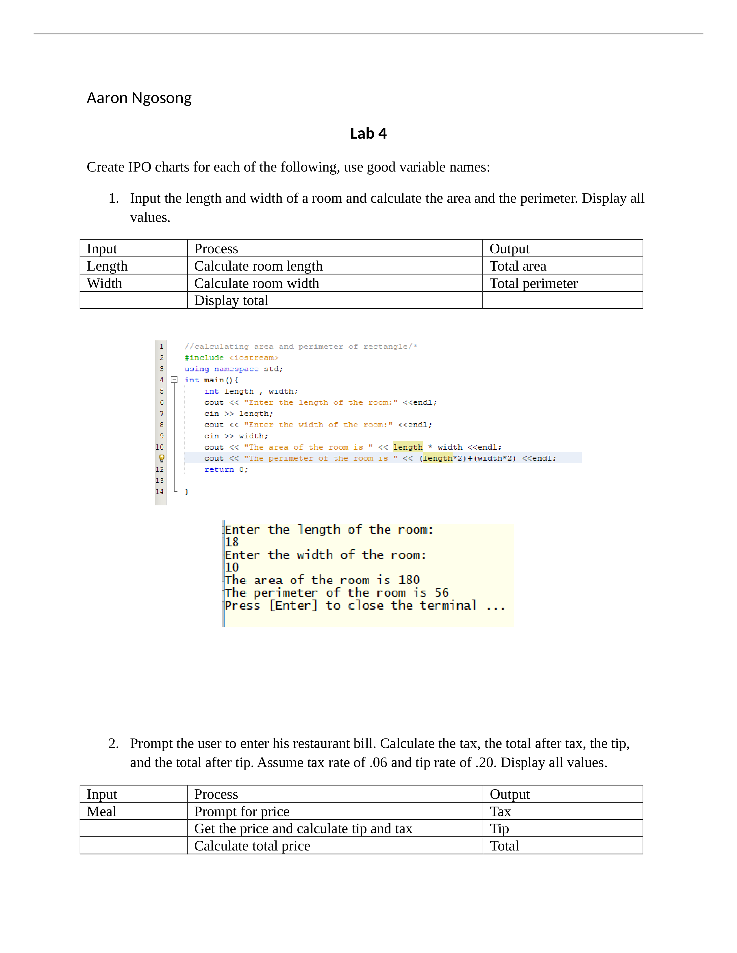 Lab 4  IPO Exercise Integer Error Lab.docx_dua5t7k2jja_page1