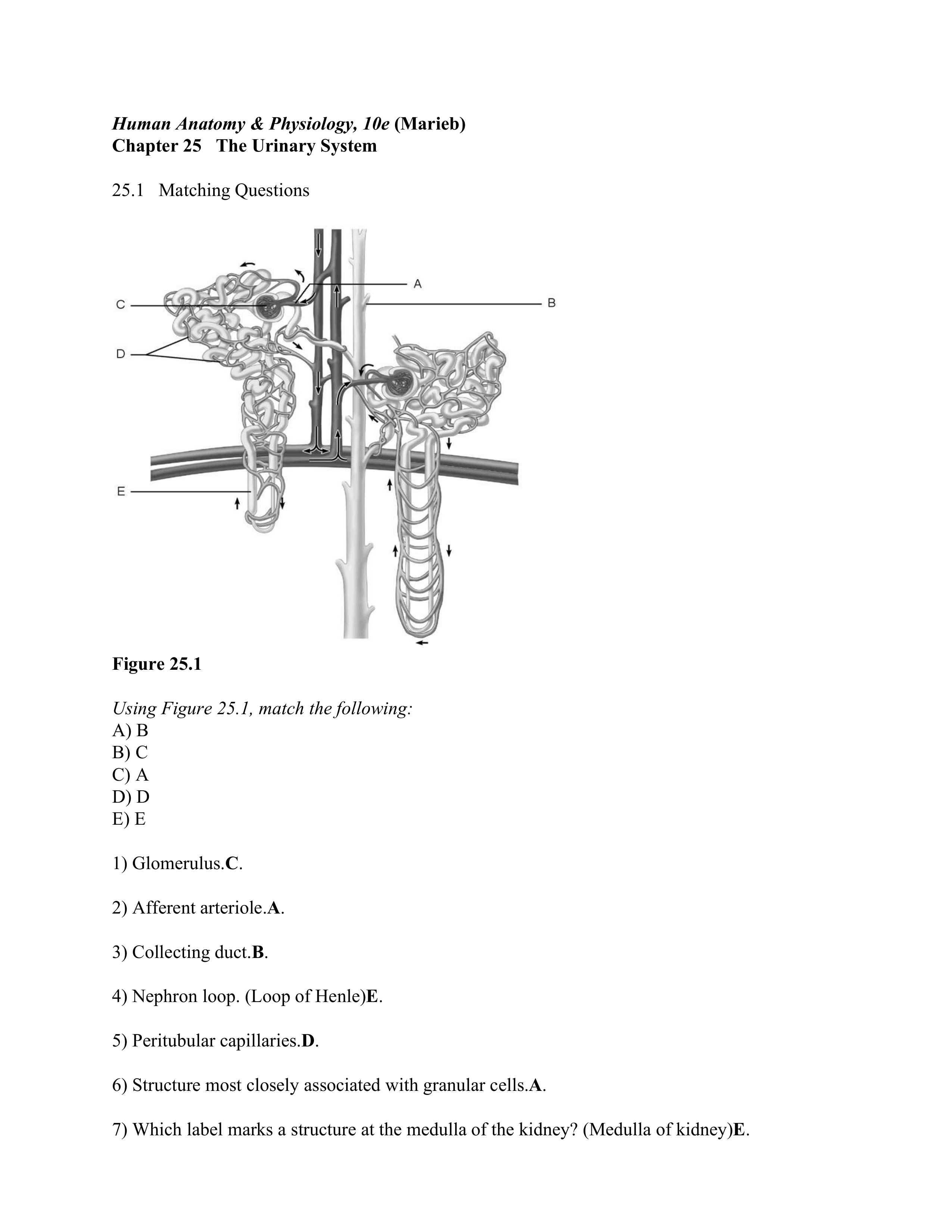 ch-25-worksheet (Answer Key).docx.pdf_dudx6427iwo_page1