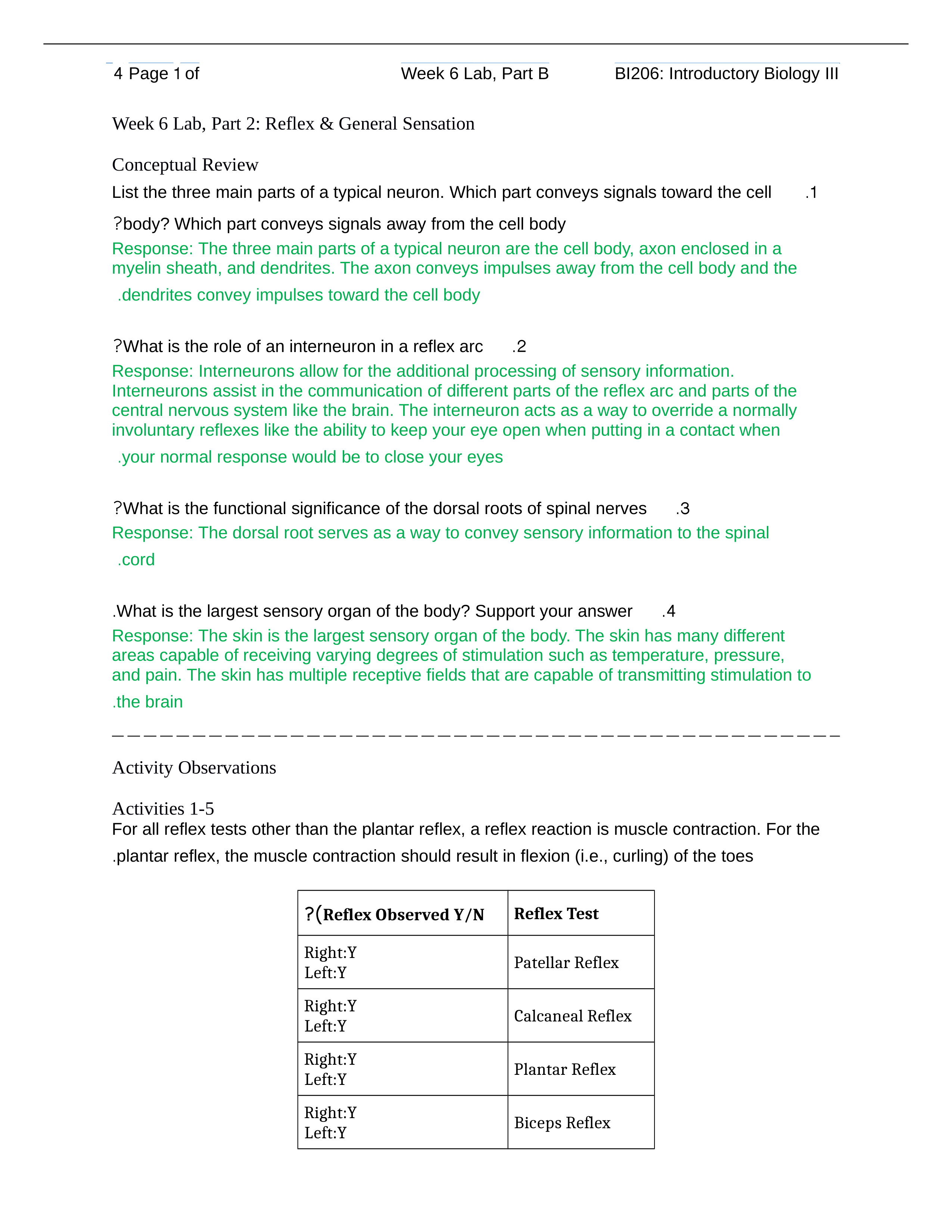 Week 6 lab part 2.docx_dus817hzkqu_page1