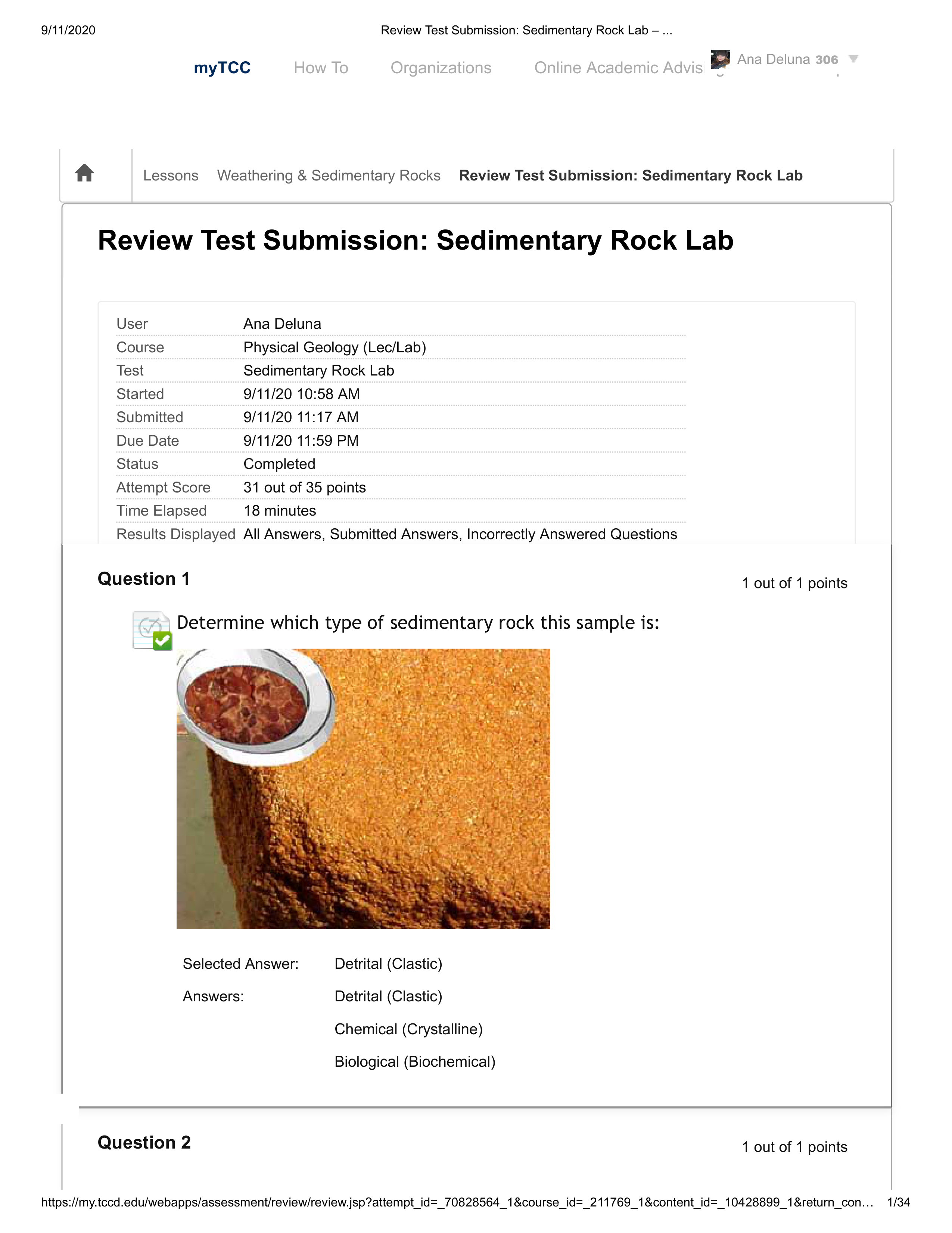 Sedimentary Rock Lab.pdf_duuc43q8iqt_page1