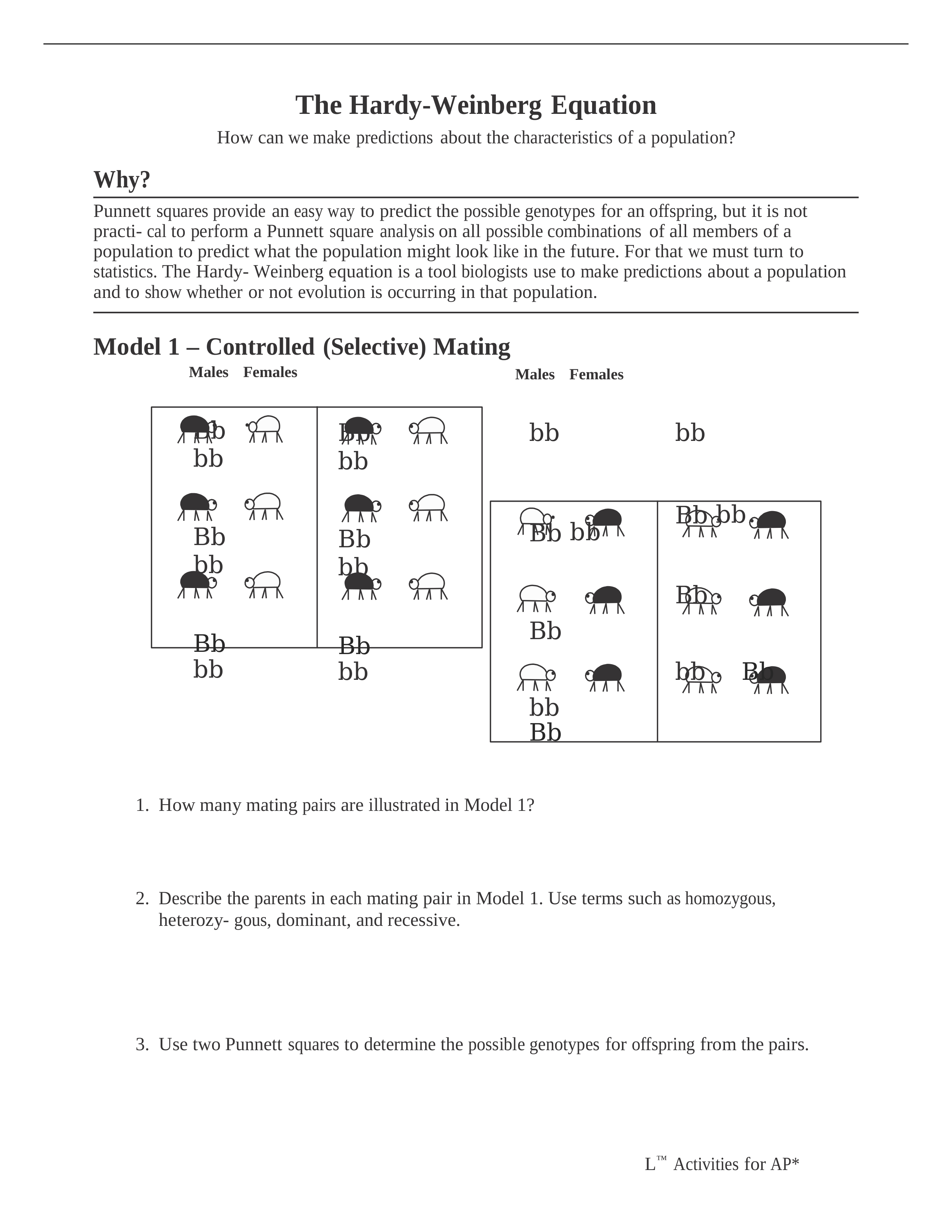 Pogil AP - The Hardy-Weinberg Equation_duy6oqyejtm_page1